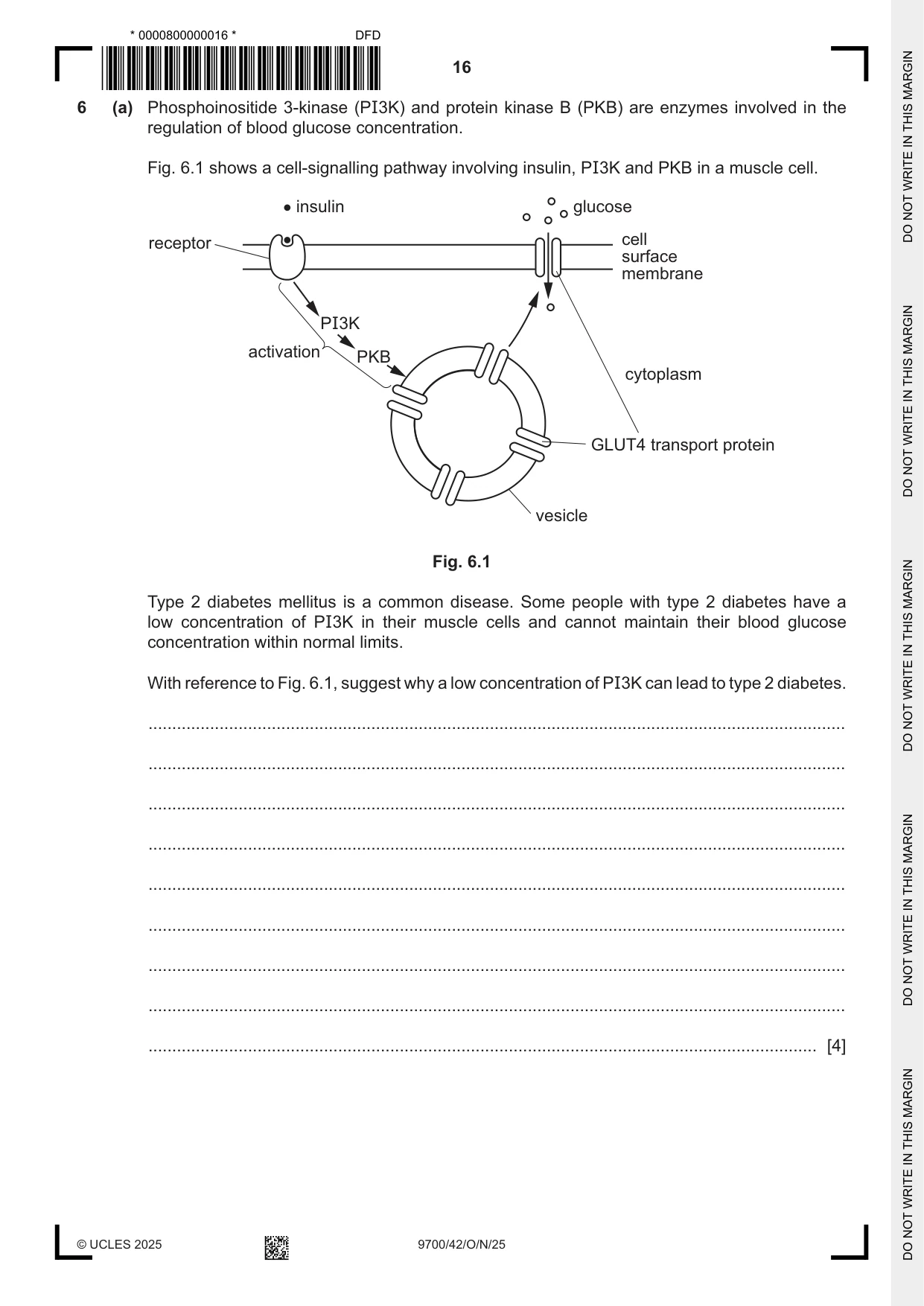 Cambridge A Level Biology 9700 2025 Oct/Nov Paper 4 · Variant 2 question paper, page 16 of 28