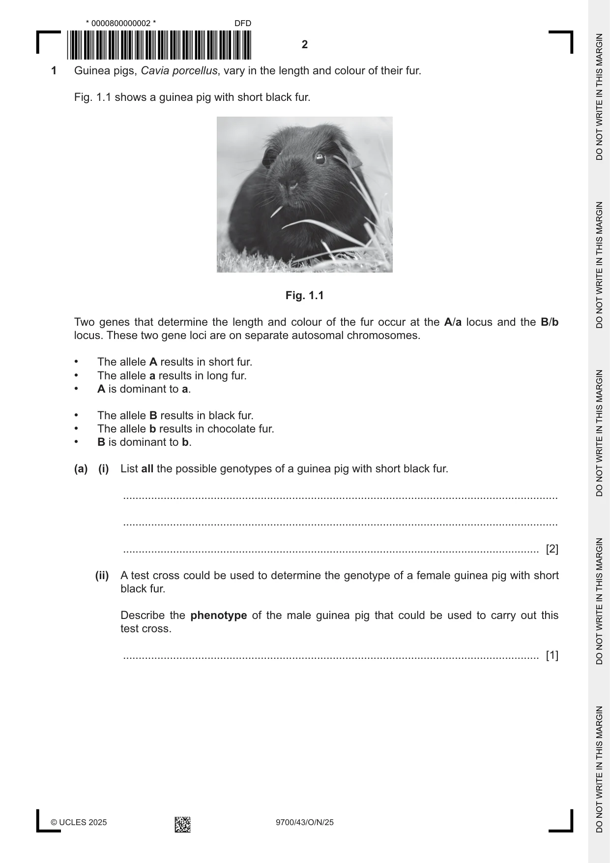 Cambridge A Level Biology 9700 2025 Oct/Nov Paper 4 · Variant 3 question paper, page 2 of 20