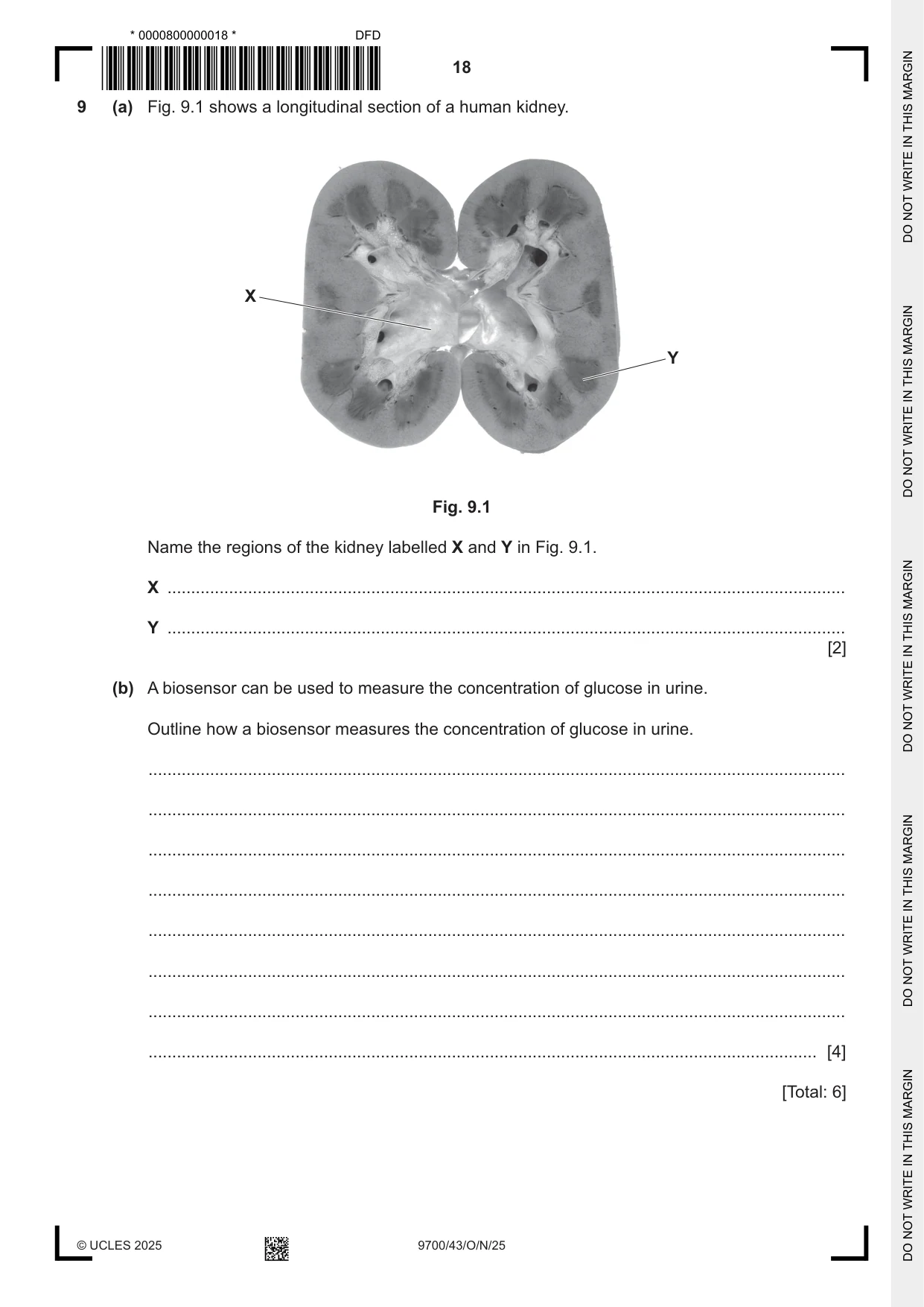 Cambridge A Level Biology 9700 2025 Oct/Nov Paper 4 · Variant 3 question paper, page 18 of 20