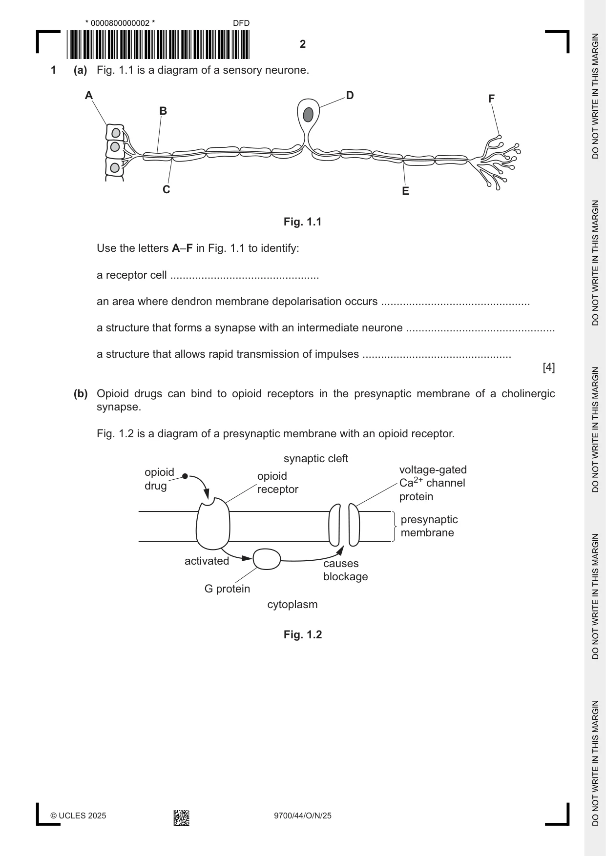 Cambridge A Level Biology 9700 2025 Oct/Nov Paper 4 · Variant 4 question paper, page 2 of 28