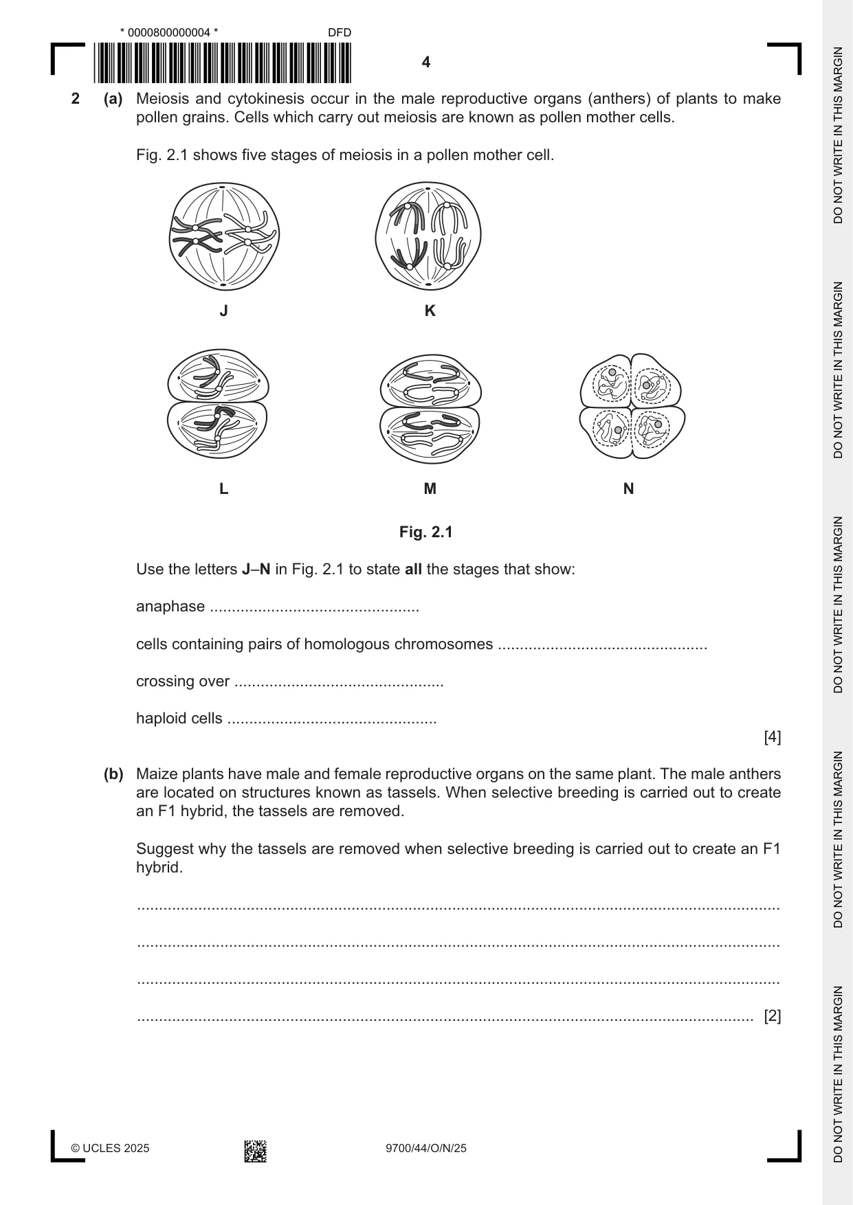Cambridge A Level Biology 9700 2025 Oct/Nov Paper 4 · Variant 4 question paper, page 4 of 28