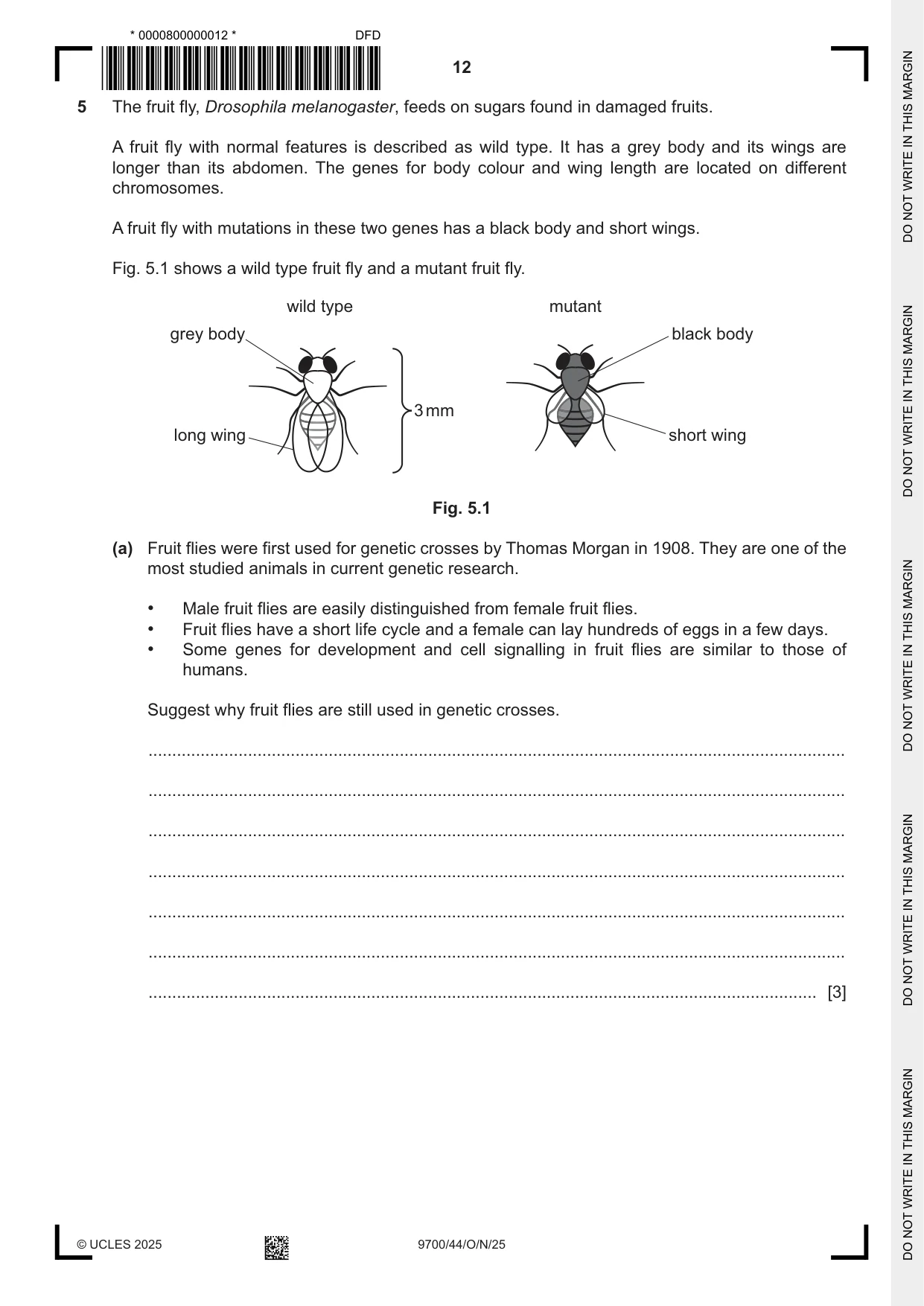 Cambridge A Level Biology 9700 2025 Oct/Nov Paper 4 · Variant 4 question paper, page 12 of 28