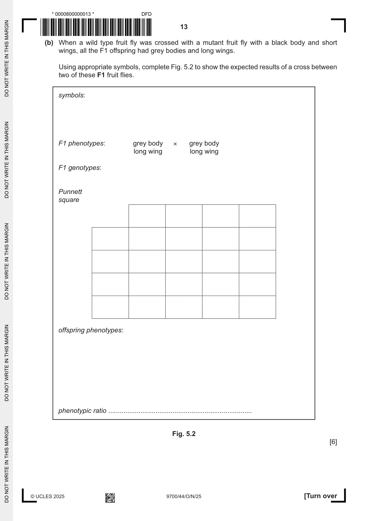 Cambridge A Level Biology 9700 2025 Oct/Nov Paper 4 · Variant 4 question paper, page 13 of 28