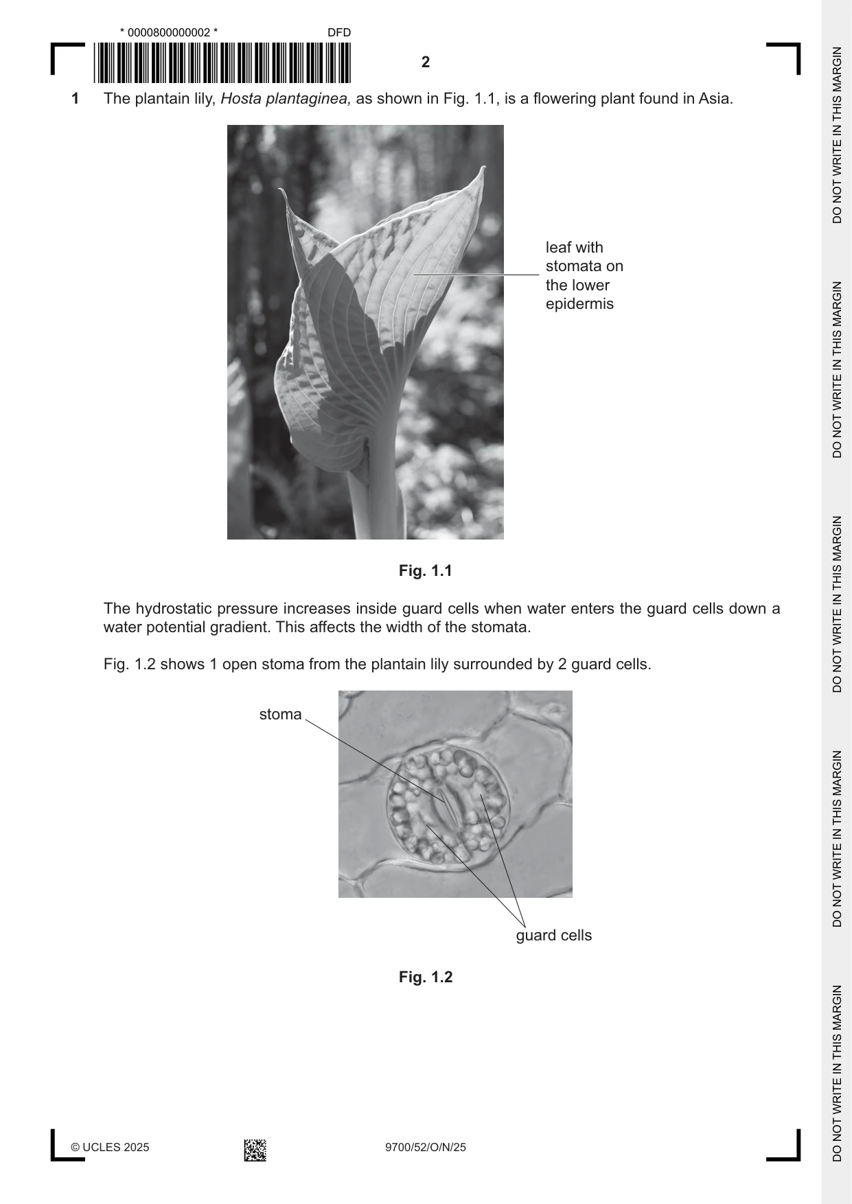 Cambridge A Level Biology 9700 2025 Oct/Nov Paper 5 · Variant 2 question paper, page 2 of 12