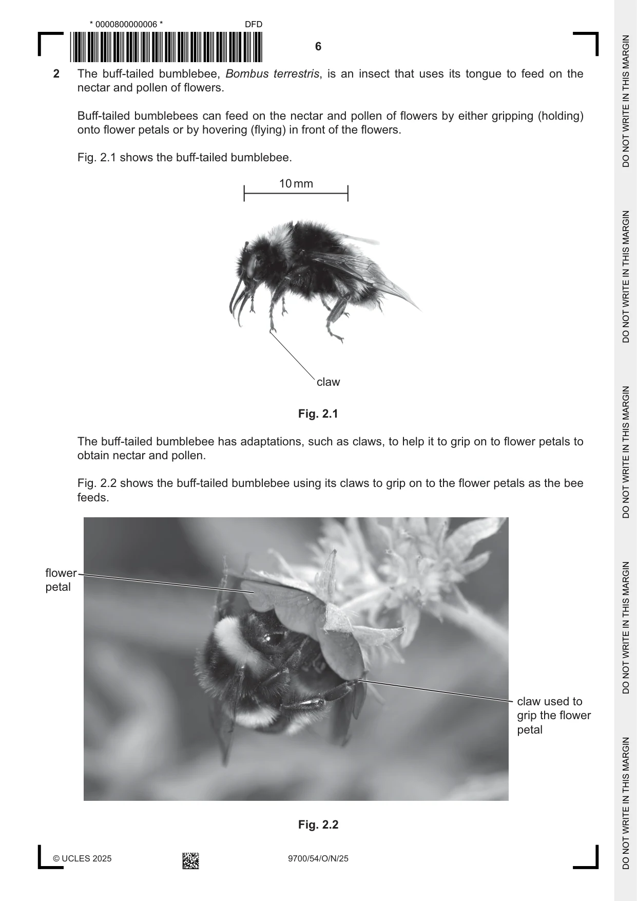Cambridge A Level Biology 9700 2025 Oct/Nov Paper 5 · Variant 4 question paper, page 6 of 16