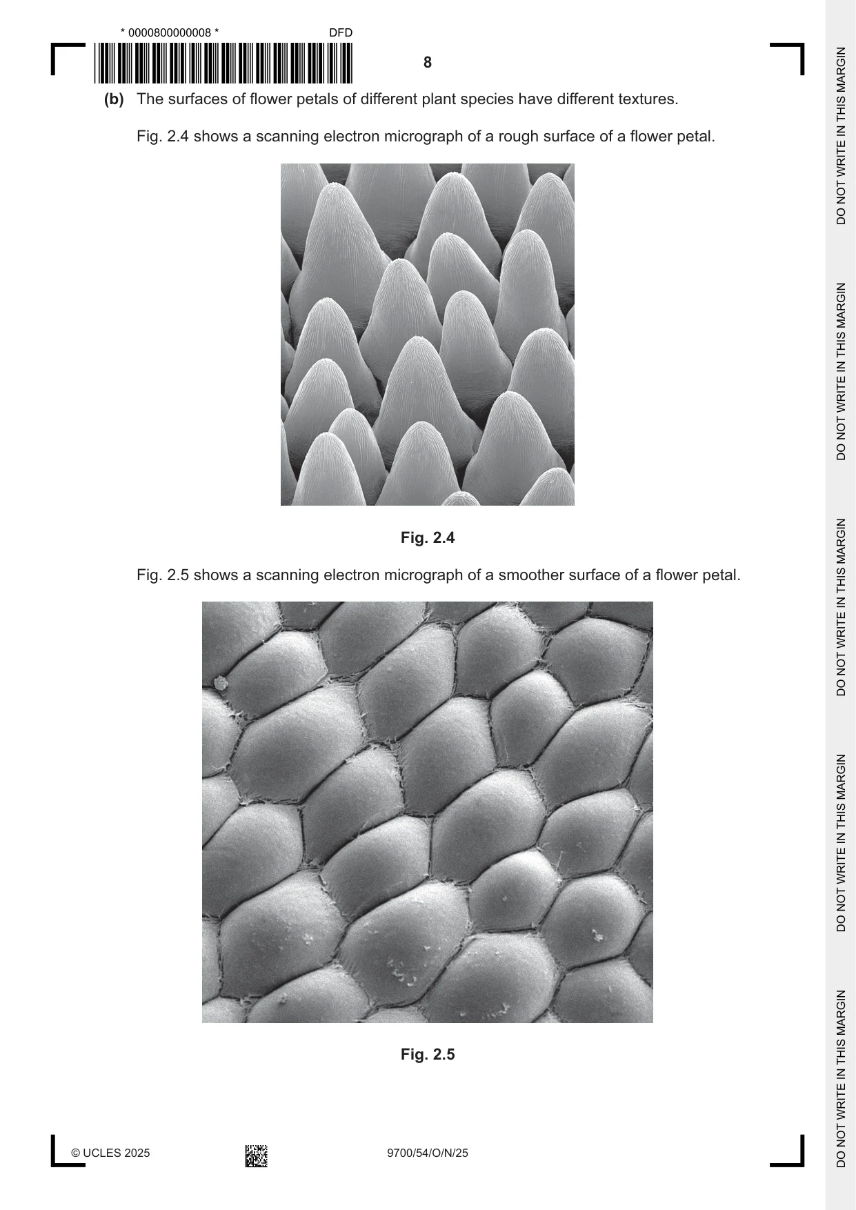 Cambridge A Level Biology 9700 2025 Oct/Nov Paper 5 · Variant 4 question paper, page 8 of 16