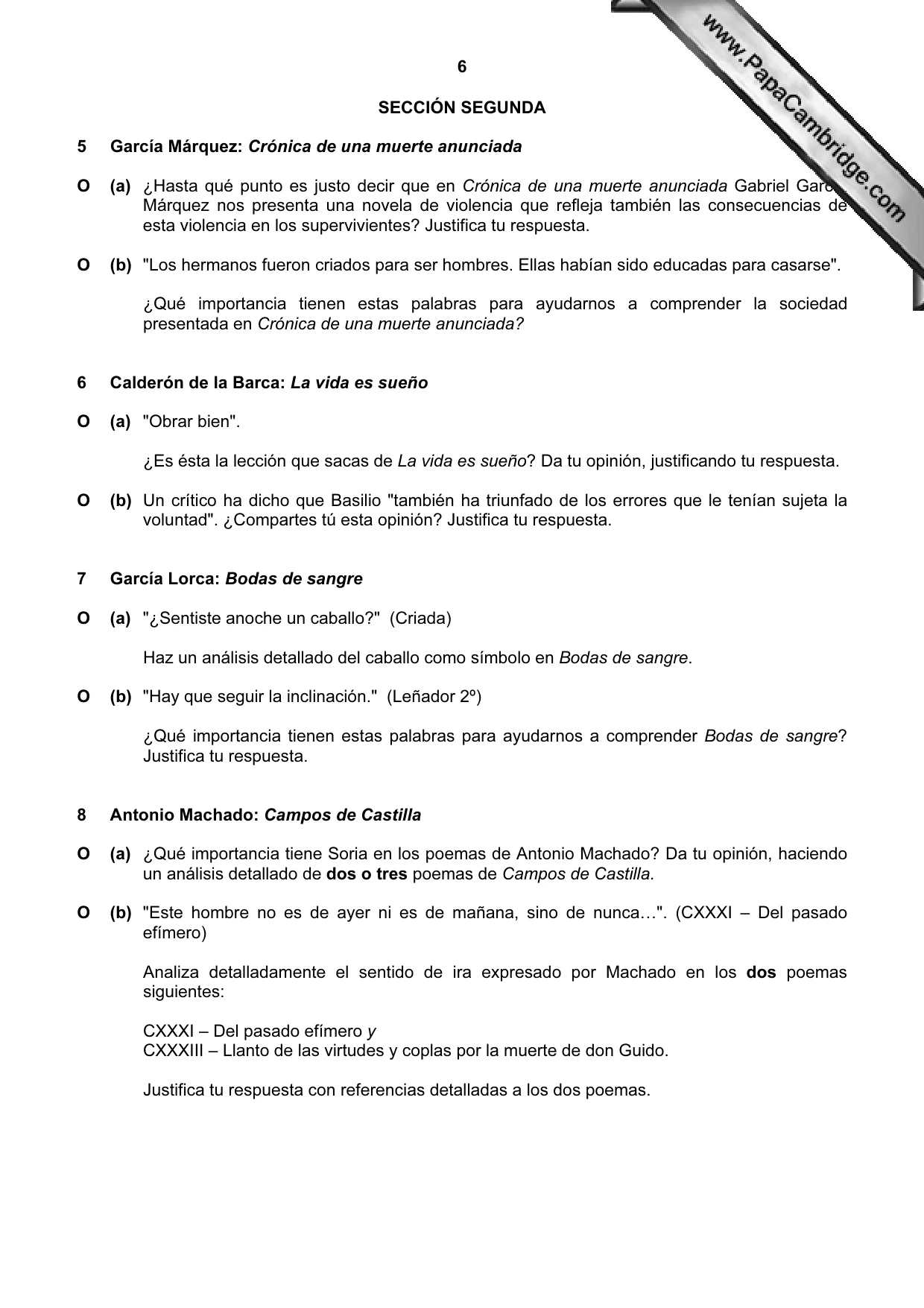 Cambridge A Level Spanish (A Level only) 9719 2006 May/June Paper 4 · Variant 1 question paper, page 5 of 7