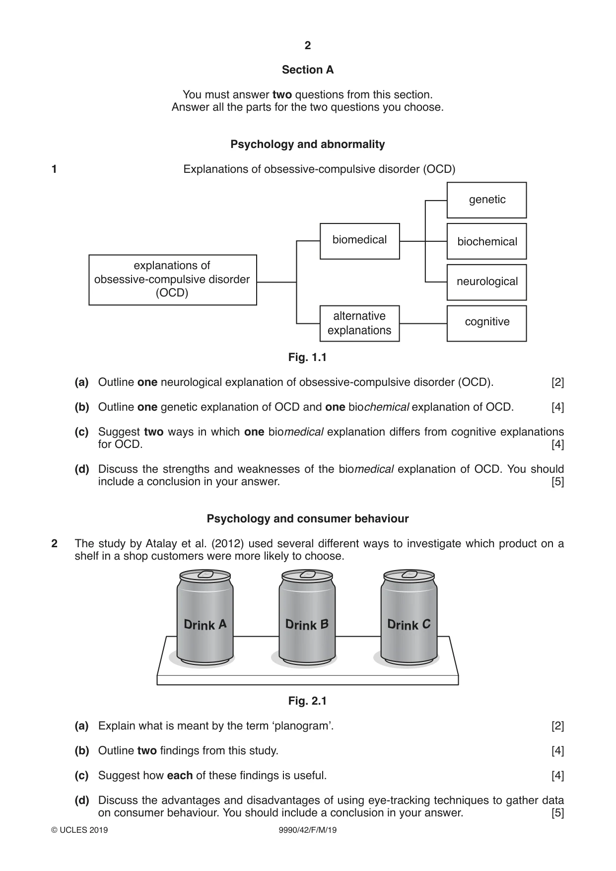 Cambridge A Level Psychology (from 2018) 9990 2019 Feb/March Paper 4 · Variant 2 question paper, page 2 of 8