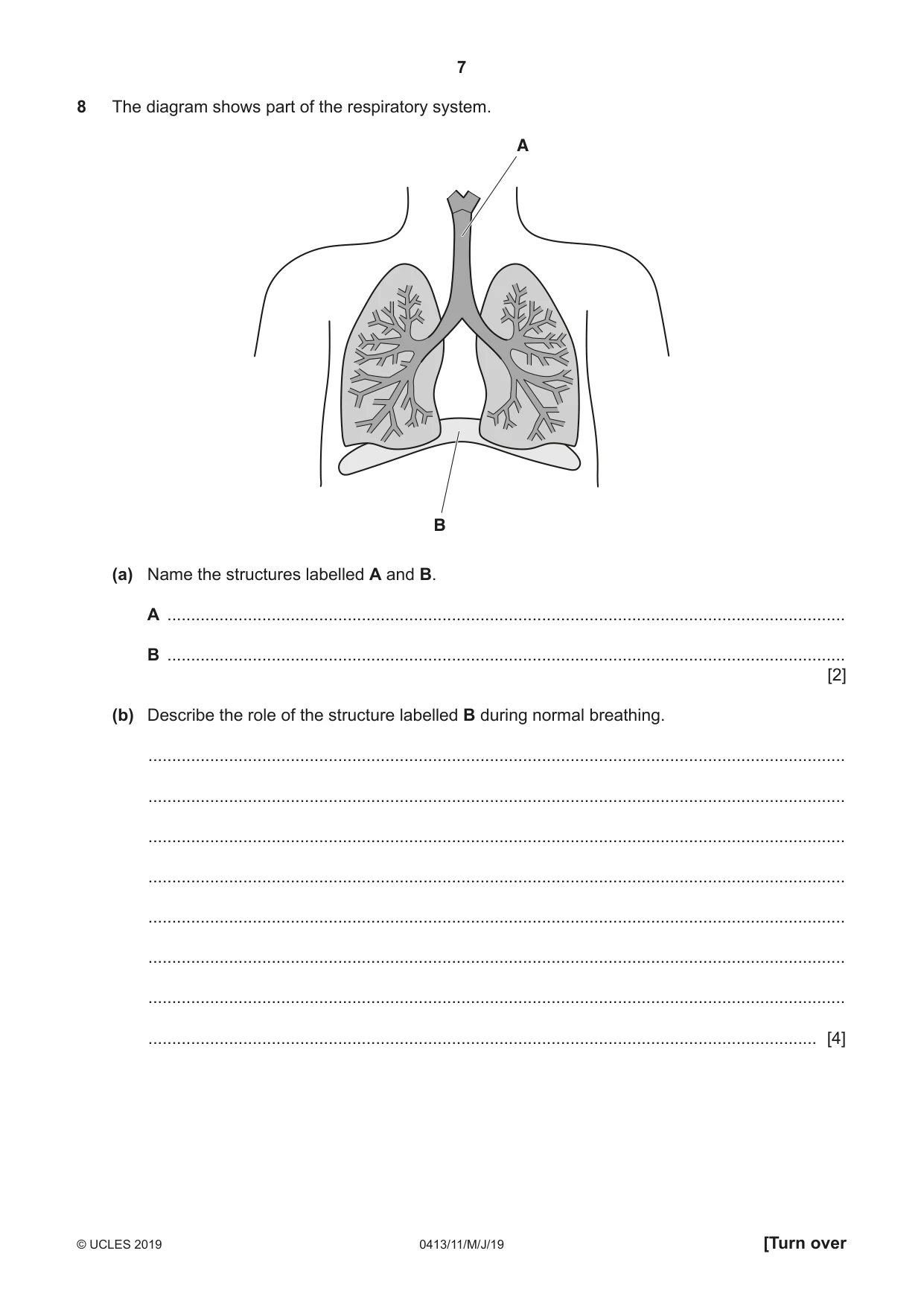 Cambridge IGCSE Physical Education 0413 2019 May/June Paper 1 · Variant 1 question paper, page 7 of 16