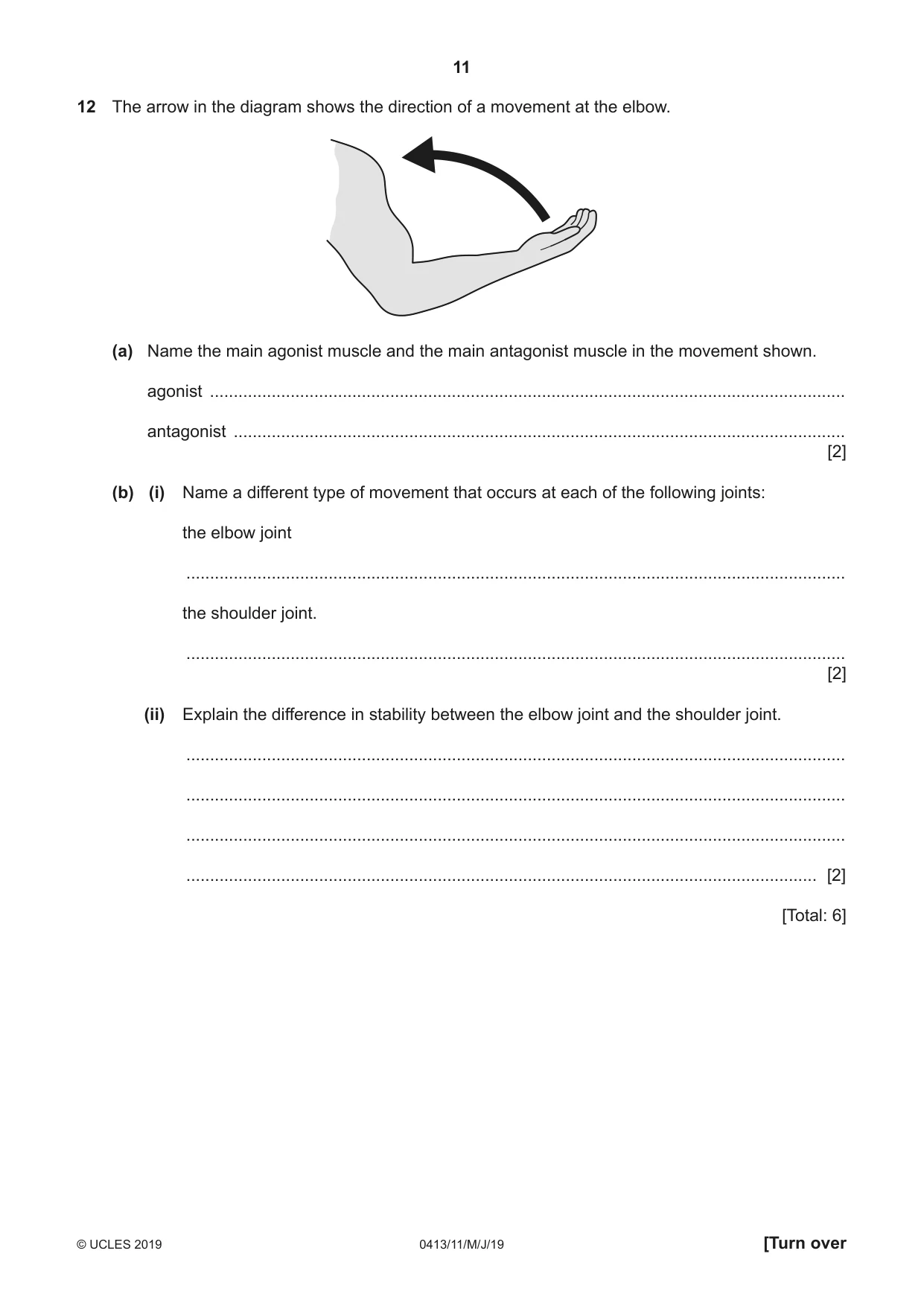 Cambridge IGCSE Physical Education 0413 2019 May/June Paper 1 · Variant 1 question paper, page 11 of 16