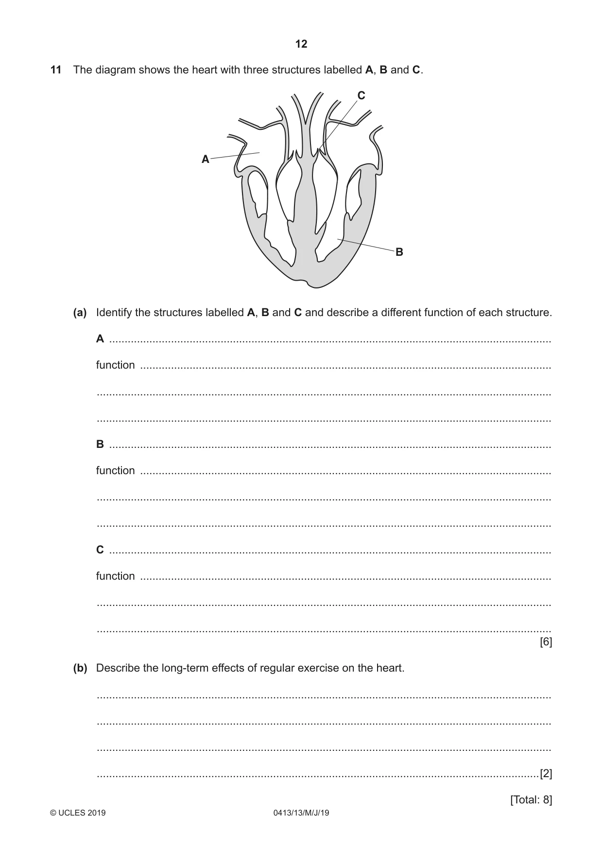 Cambridge IGCSE Physical Education 0413 2019 May/June Paper 1 · Variant 3 question paper, page 12 of 20