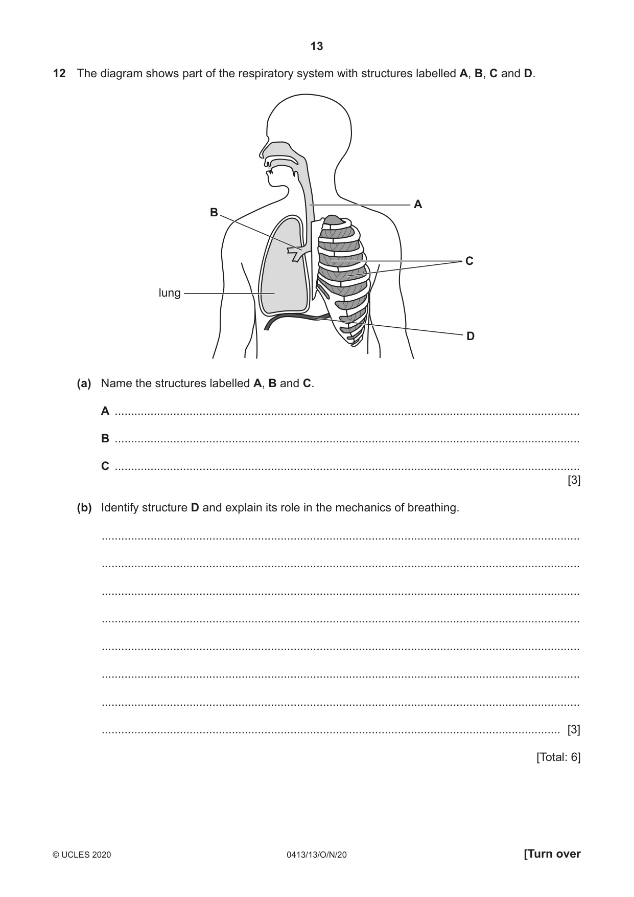 Cambridge IGCSE Physical Education 0413 2020 Oct/Nov Paper 1 · Variant 3 question paper, page 13 of 16