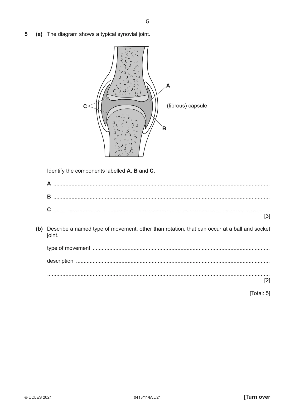 Cambridge IGCSE Physical Education 0413 2021 May/June Paper 1 · Variant 1 question paper, page 5 of 16