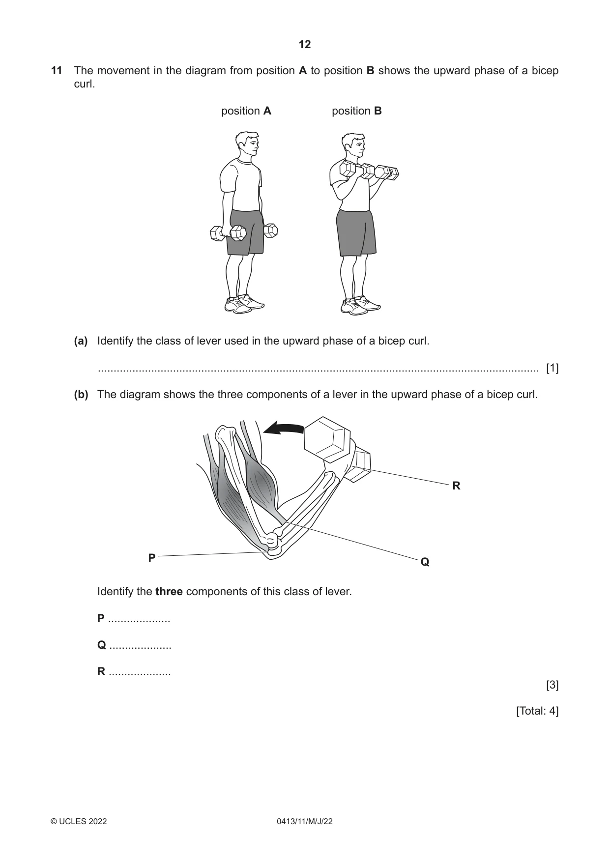 Cambridge IGCSE Physical Education 0413 2022 May/June Paper 1 · Variant 1 question paper, page 12 of 16