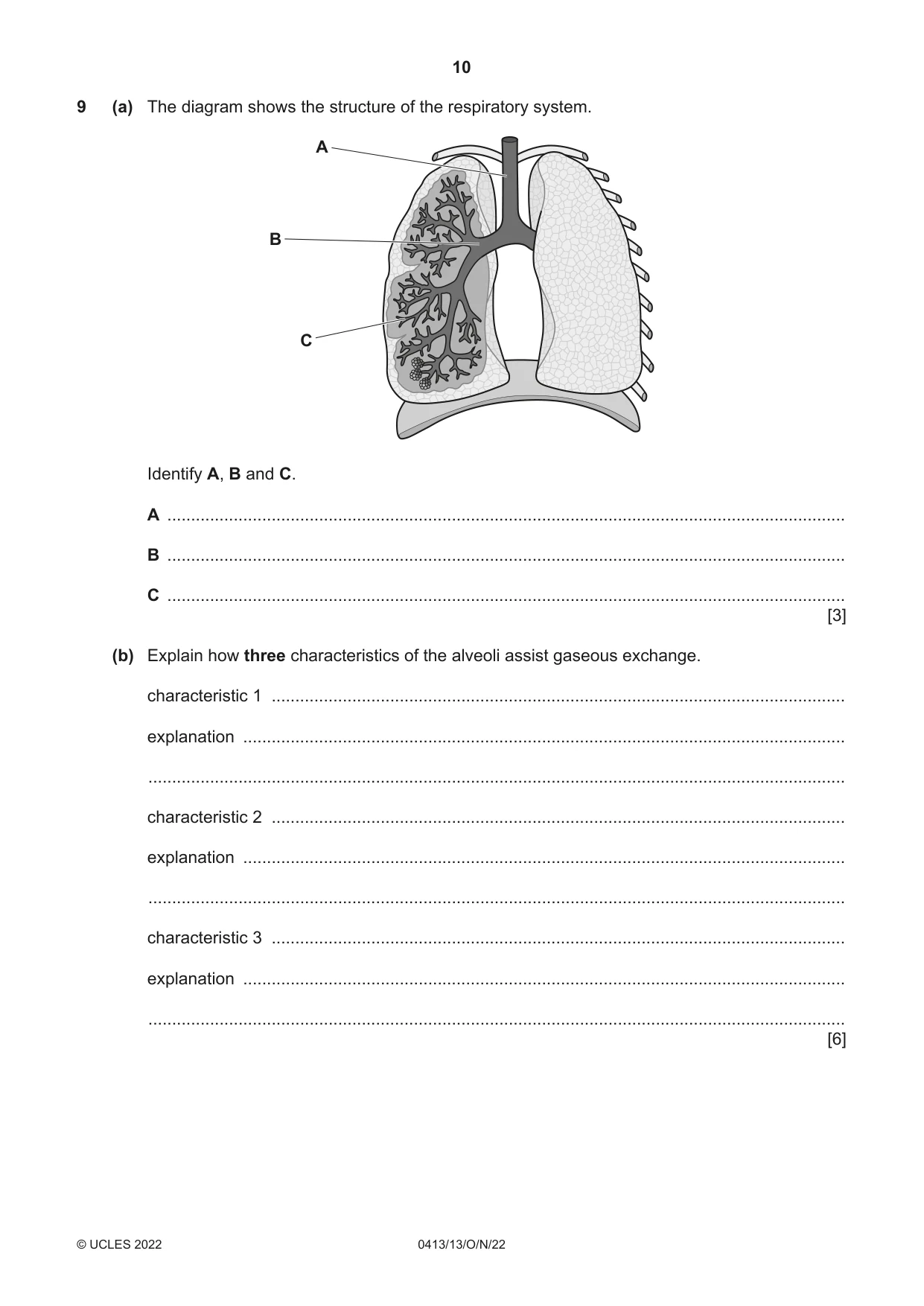 Cambridge IGCSE Physical Education 0413 2022 Oct/Nov Paper 1 · Variant 3 question paper, page 10 of 16