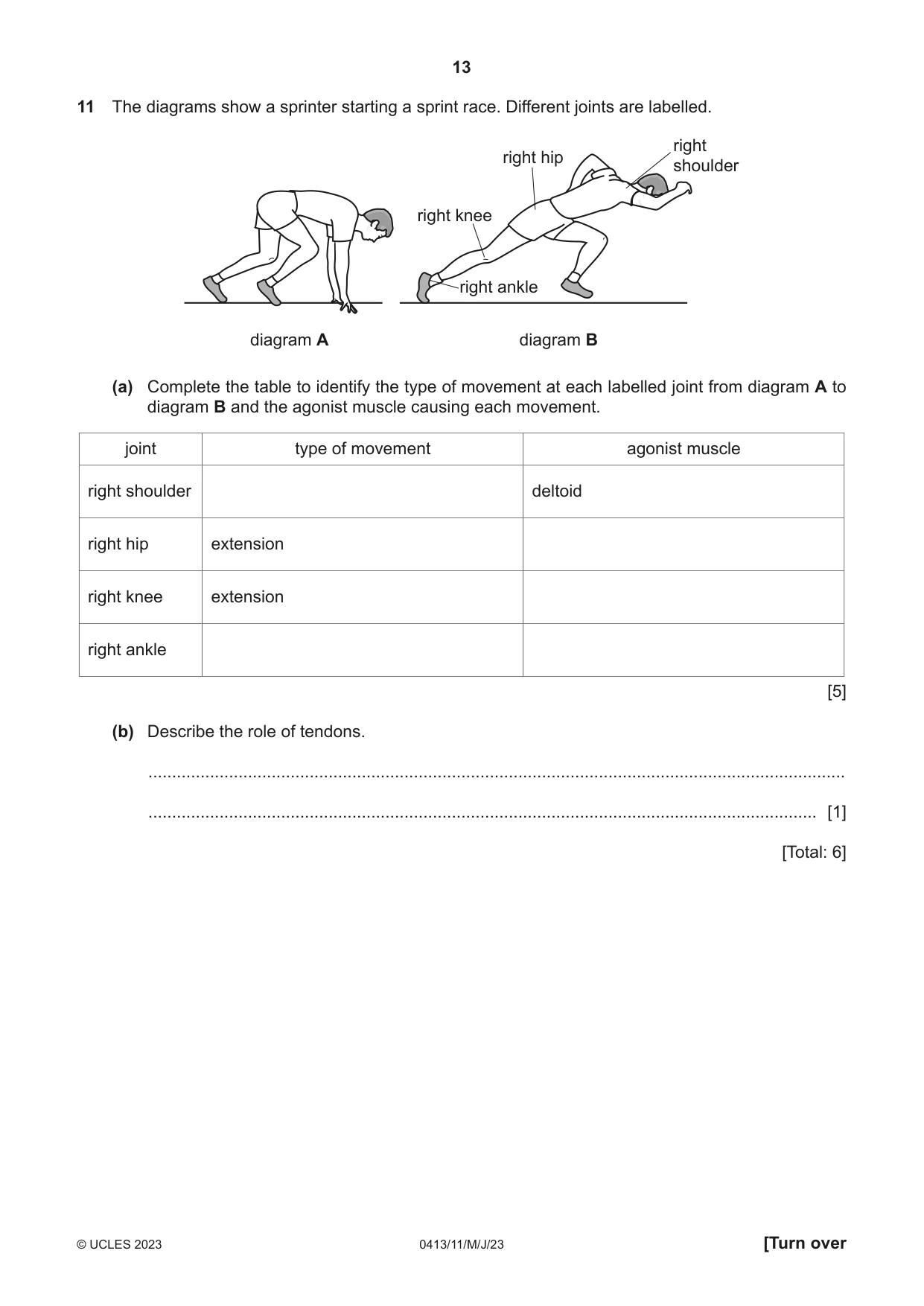 Cambridge IGCSE Physical Education 0413 2023 May/June Paper 1 · Variant 1 question paper, page 13 of 16