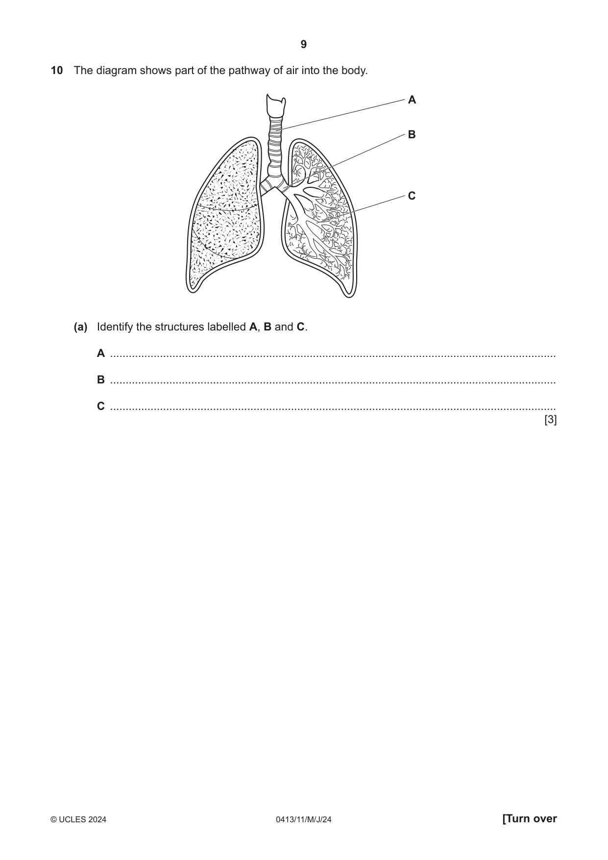 Cambridge IGCSE Physical Education 0413 2024 May/June Paper 1 · Variant 1 question paper, page 9 of 16