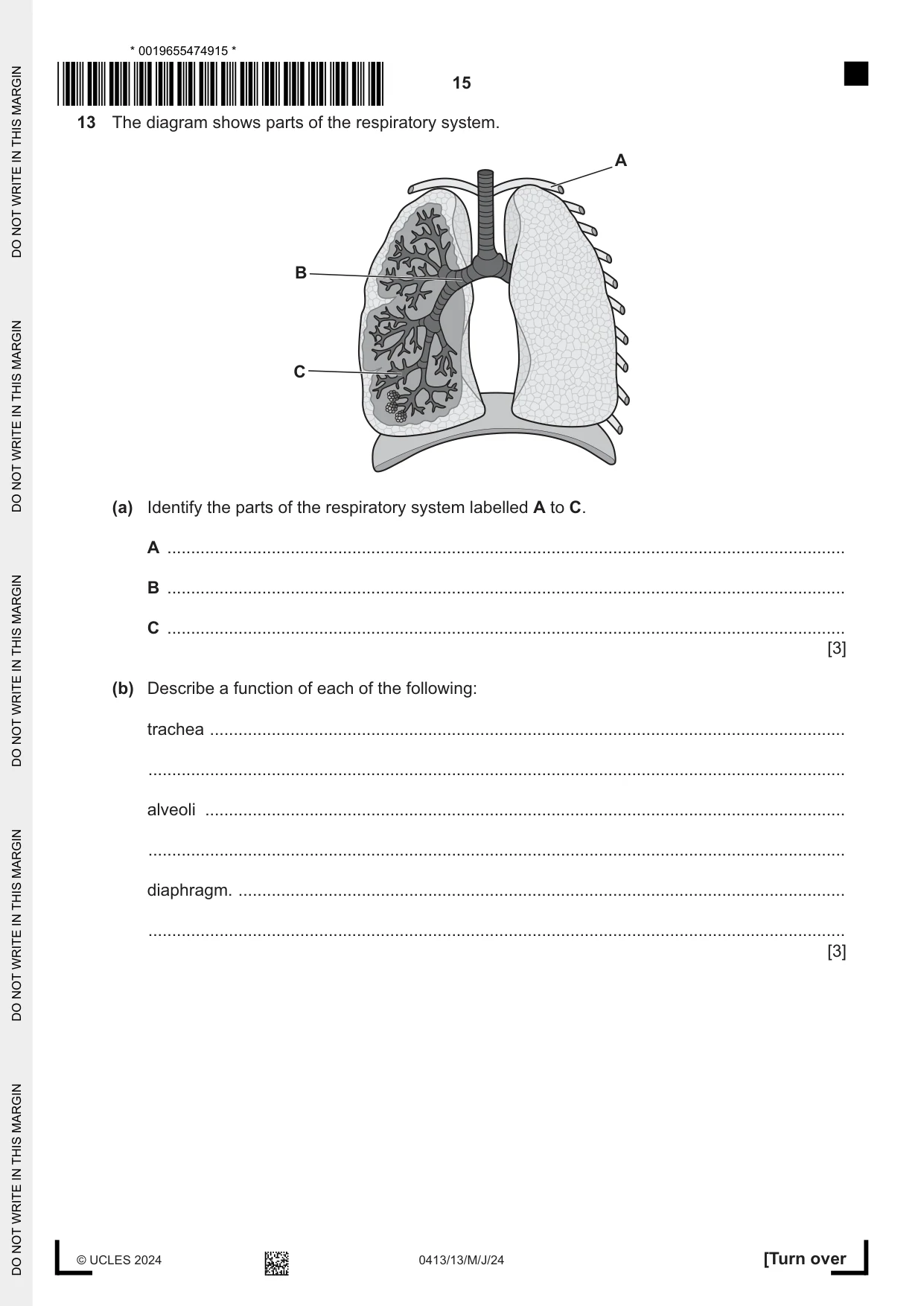 Cambridge IGCSE Physical Education 0413 2024 May/June Paper 1 · Variant 3 question paper, page 15 of 16