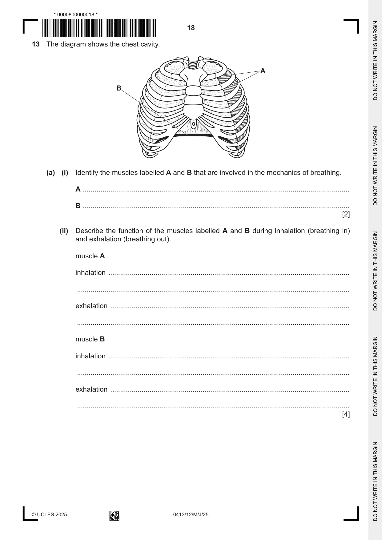 Cambridge IGCSE Physical Education 0413 2025 May/June Paper 1 · Variant 2 question paper, page 18 of 20