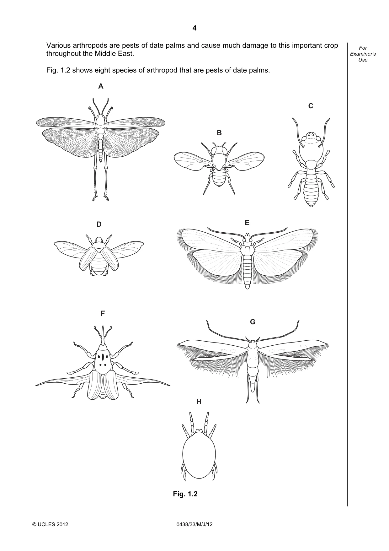 Cambridge IGCSE Biology (BES) 0438 2012 May/June Paper 3 · Variant 3 question paper, page 4 of 24