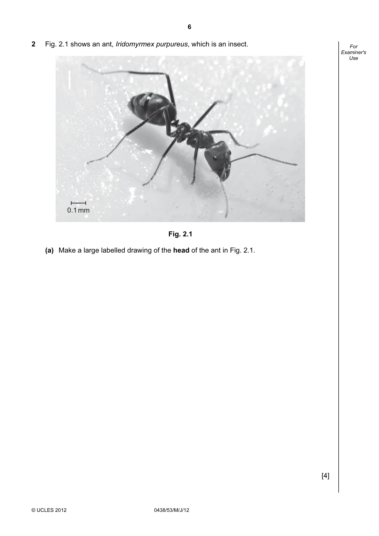 Cambridge IGCSE Biology (BES) 0438 2012 May/June Paper 5 · Variant 3 question paper, page 6 of 12