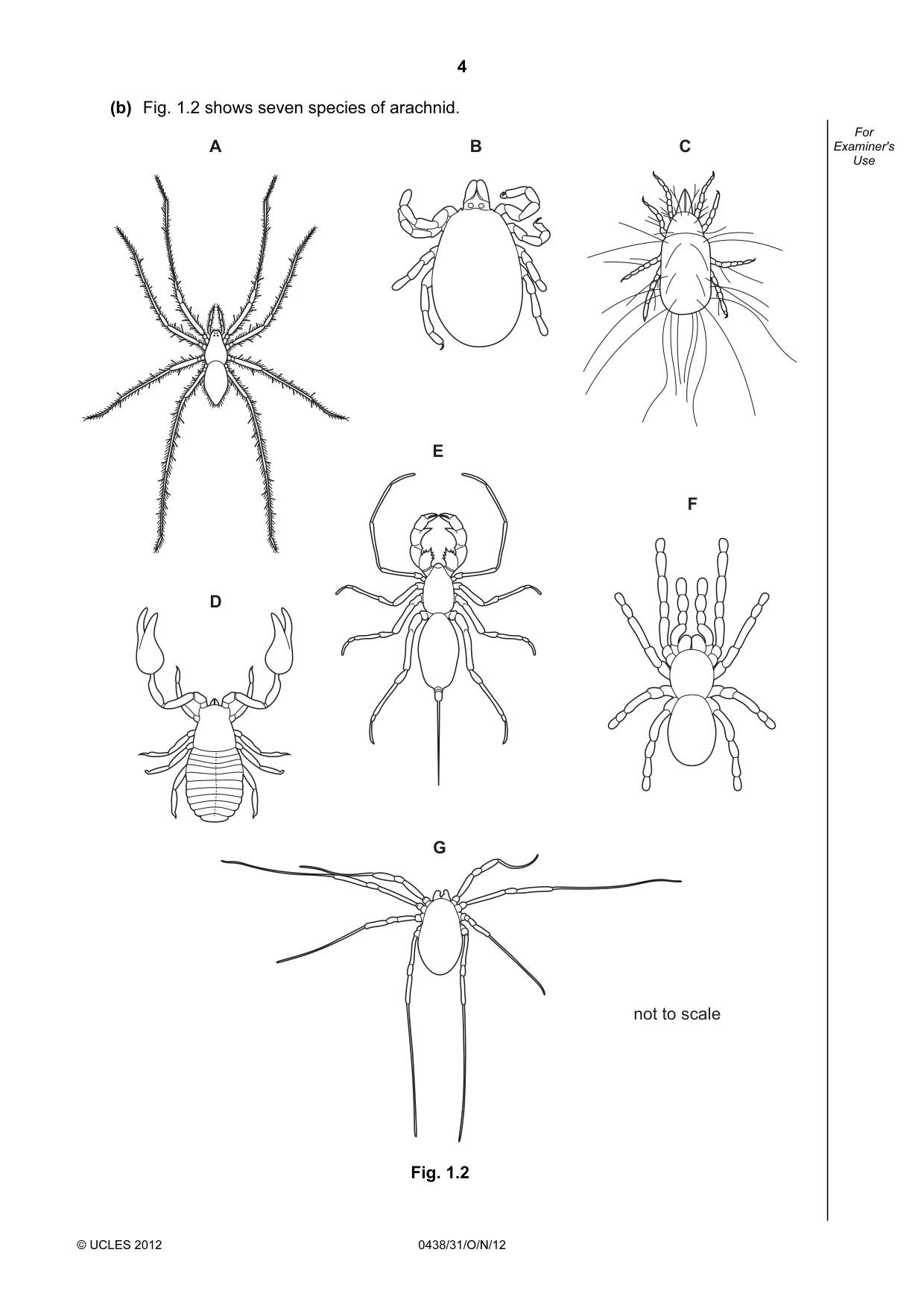 Cambridge IGCSE Biology (BES) 0438 2012 Oct/Nov Paper 3 · Variant 1 question paper, page 4 of 24