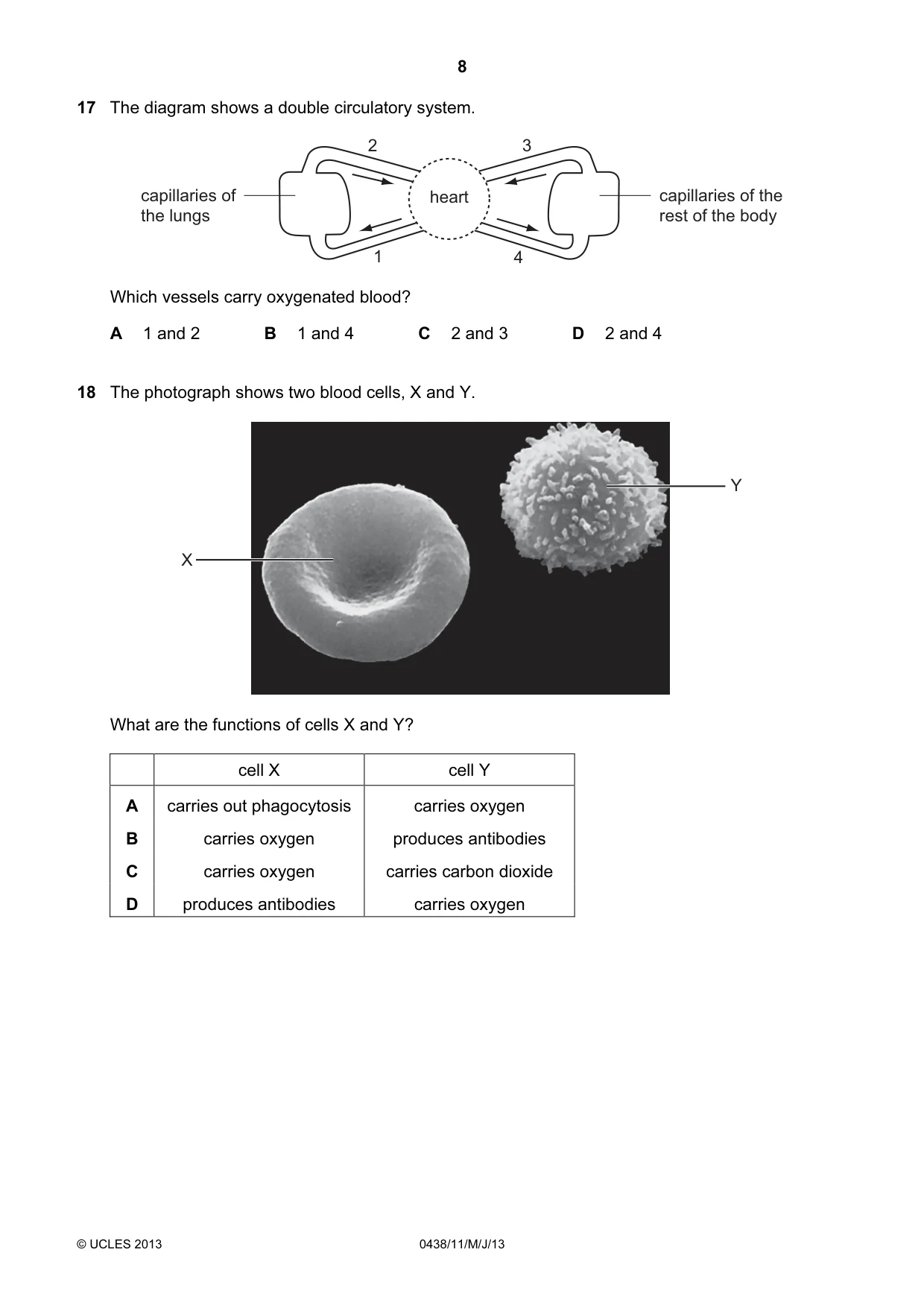 Cambridge IGCSE Biology (BES) 0438 2013 May/June Paper 1 · Variant 1 question paper, page 8 of 16