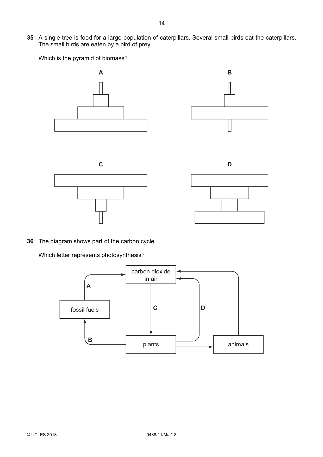 Cambridge IGCSE Biology (BES) 0438 2013 May/June Paper 1 · Variant 1 question paper, page 14 of 16
