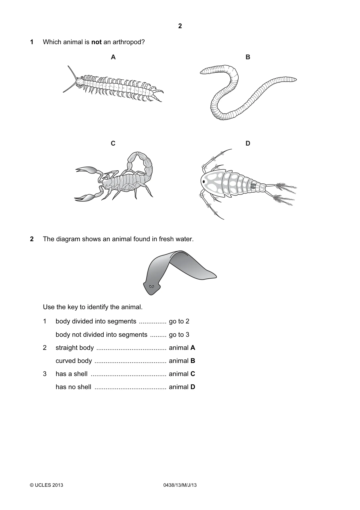 Cambridge IGCSE Biology (BES) 0438 2013 May/June Paper 1 · Variant 3 question paper, page 2 of 16