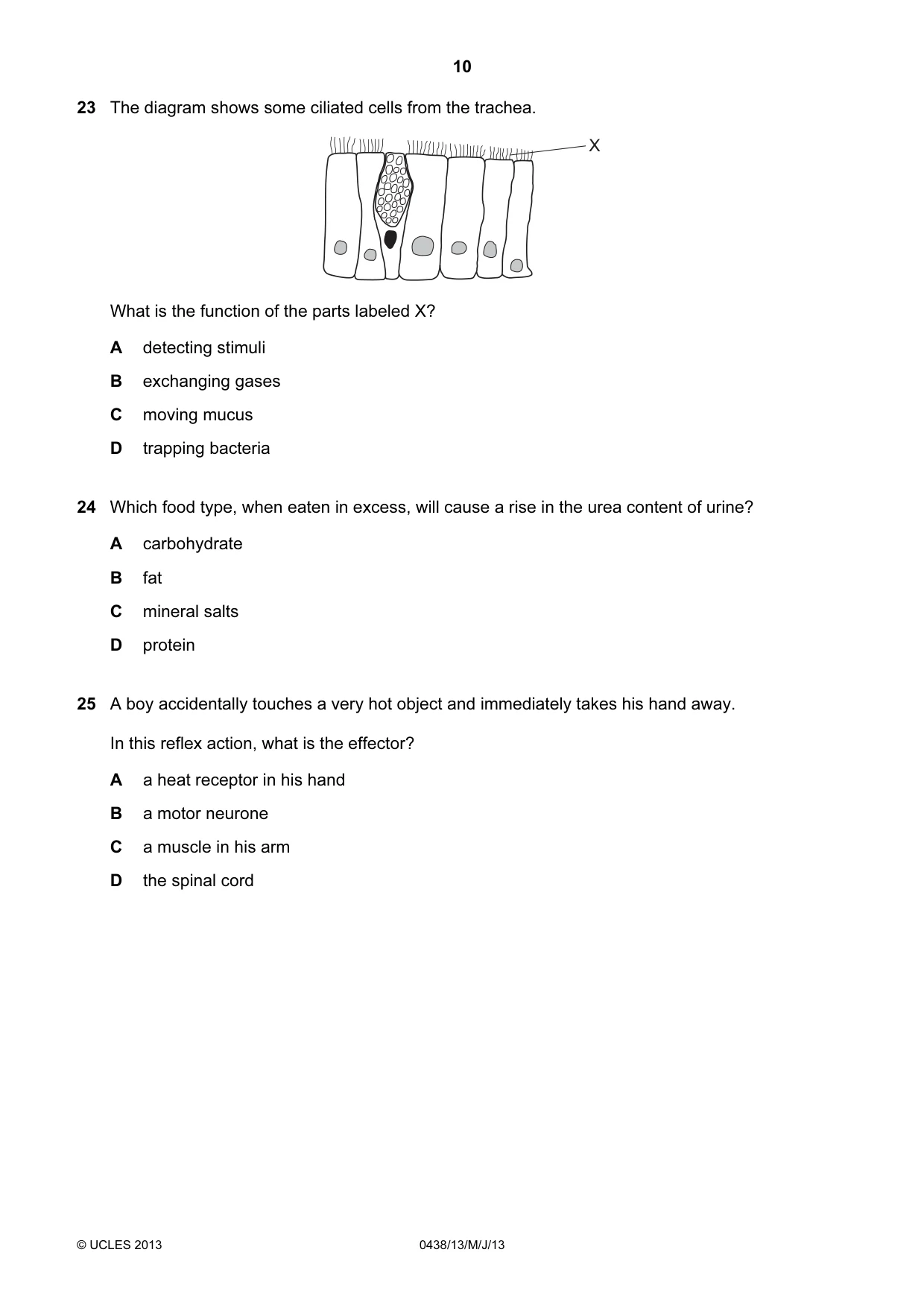 Cambridge IGCSE Biology (BES) 0438 2013 May/June Paper 1 · Variant 3 question paper, page 10 of 16