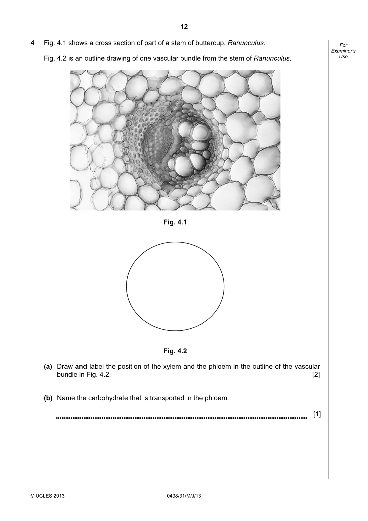 Cambridge IGCSE Biology (BES) 0438 2013 May/June Paper 3 · Variant 1 question paper, page 12 of 20