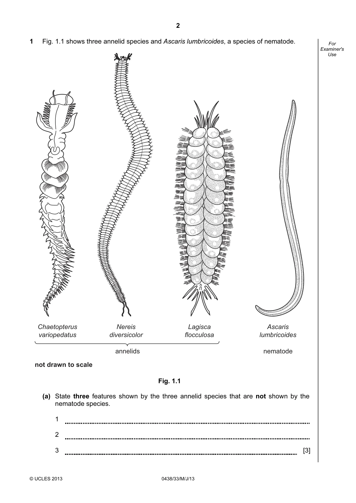 Cambridge IGCSE Biology (BES) 0438 2013 May/June Paper 3 · Variant 3 question paper, page 2 of 20