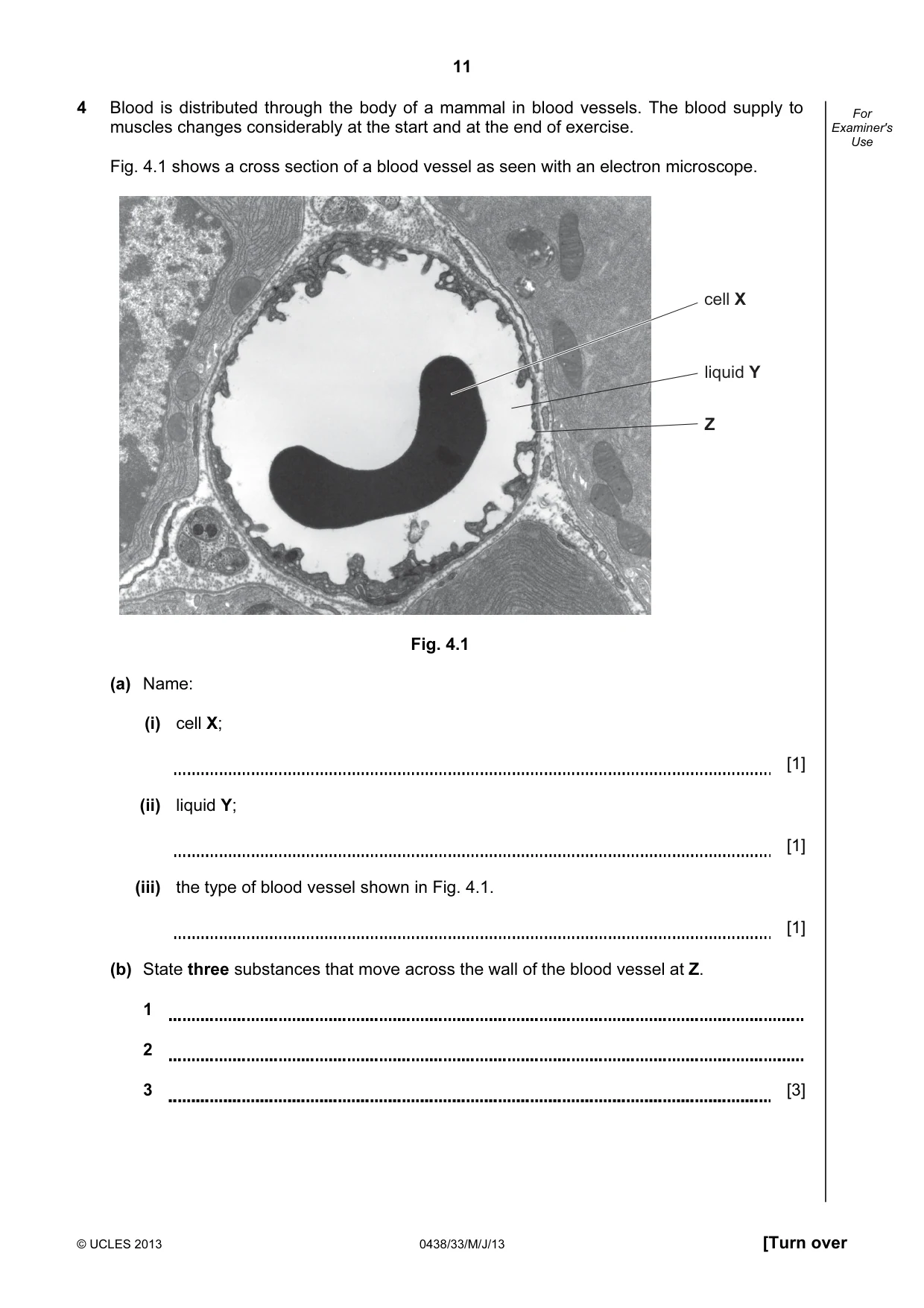 Cambridge IGCSE Biology (BES) 0438 2013 May/June Paper 3 · Variant 3 question paper, page 11 of 20