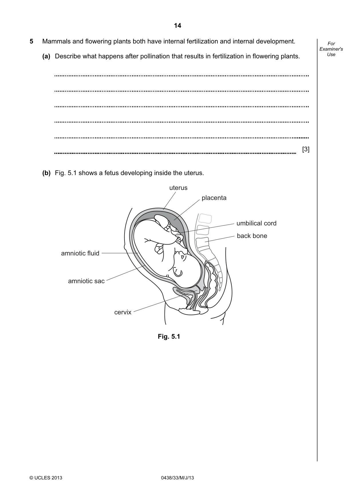 Cambridge IGCSE Biology (BES) 0438 2013 May/June Paper 3 · Variant 3 question paper, page 14 of 20