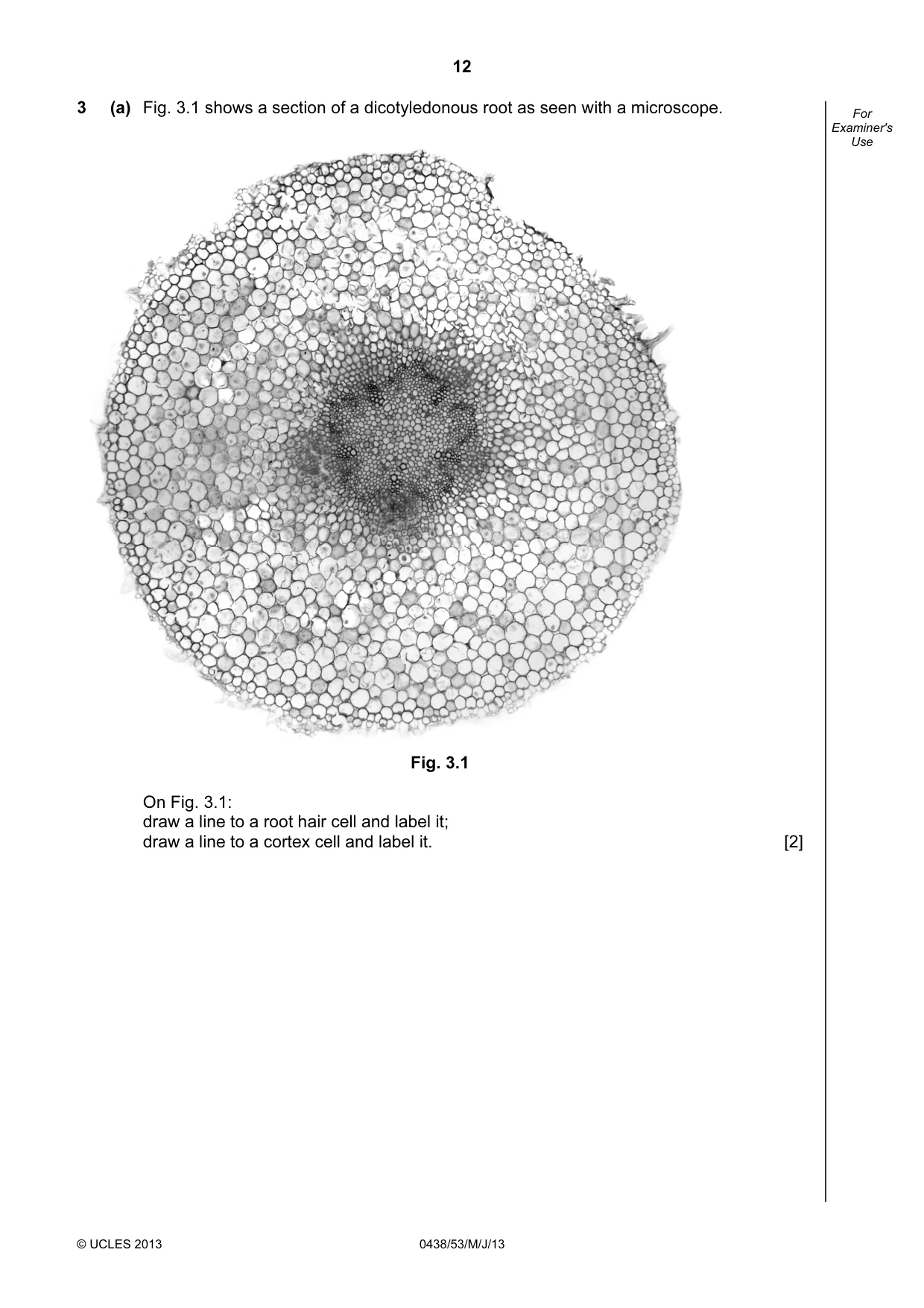 Cambridge IGCSE Biology (BES) 0438 2013 May/June Paper 5 · Variant 3 question paper, page 12 of 16