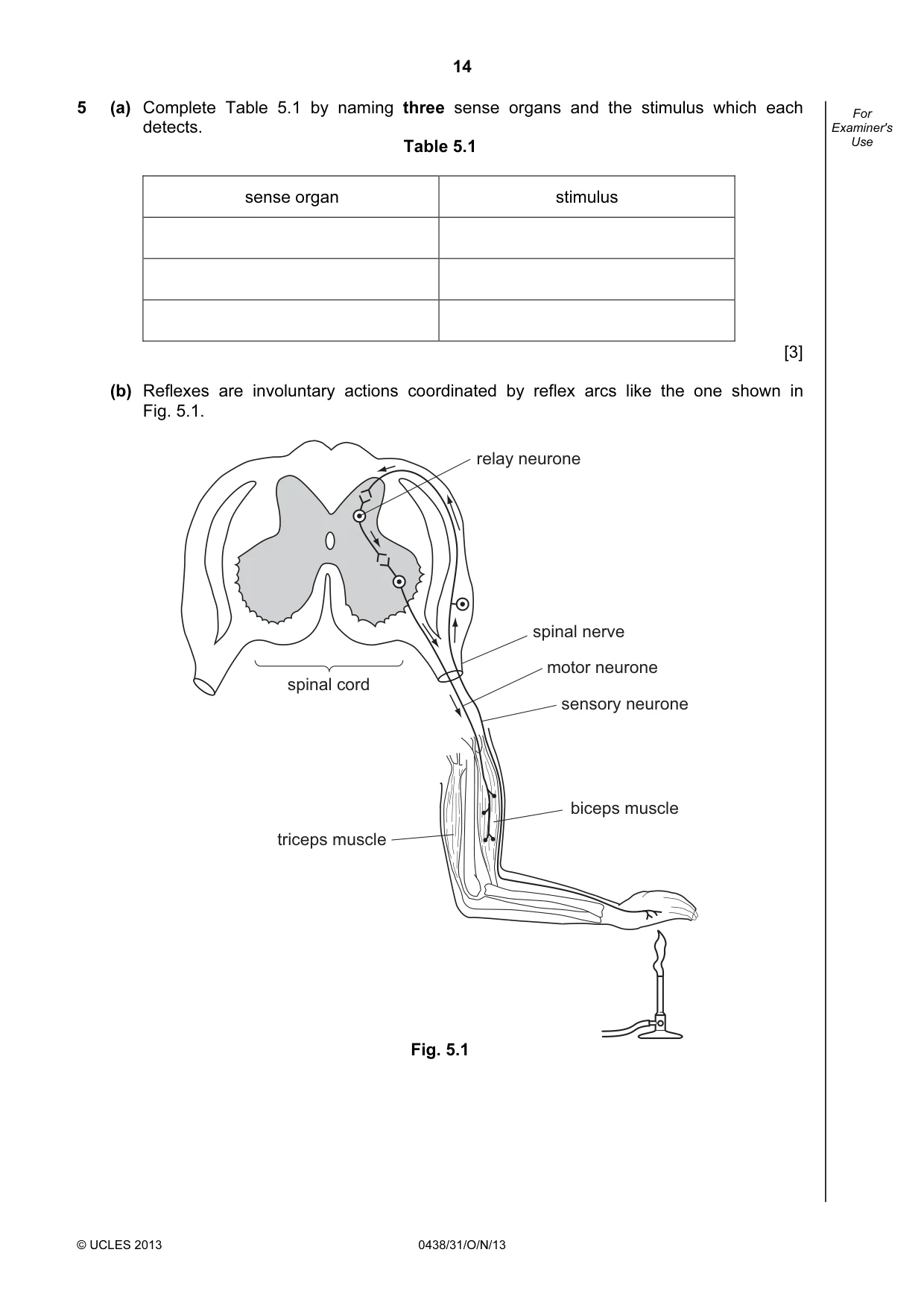 Cambridge IGCSE Biology (BES) 0438 2013 Oct/Nov Paper 3 · Variant 1 question paper, page 14 of 20