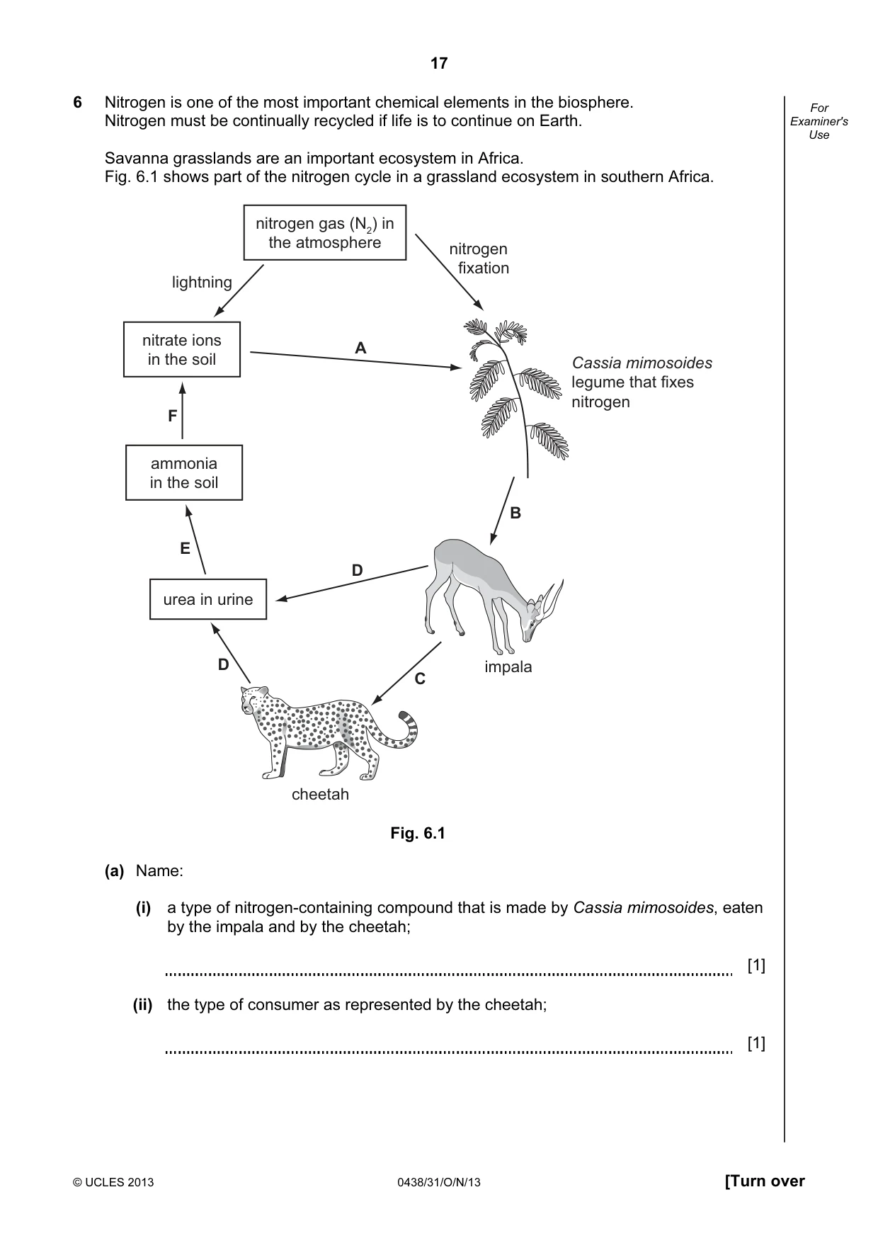 Cambridge IGCSE Biology (BES) 0438 2013 Oct/Nov Paper 3 · Variant 1 question paper, page 17 of 20