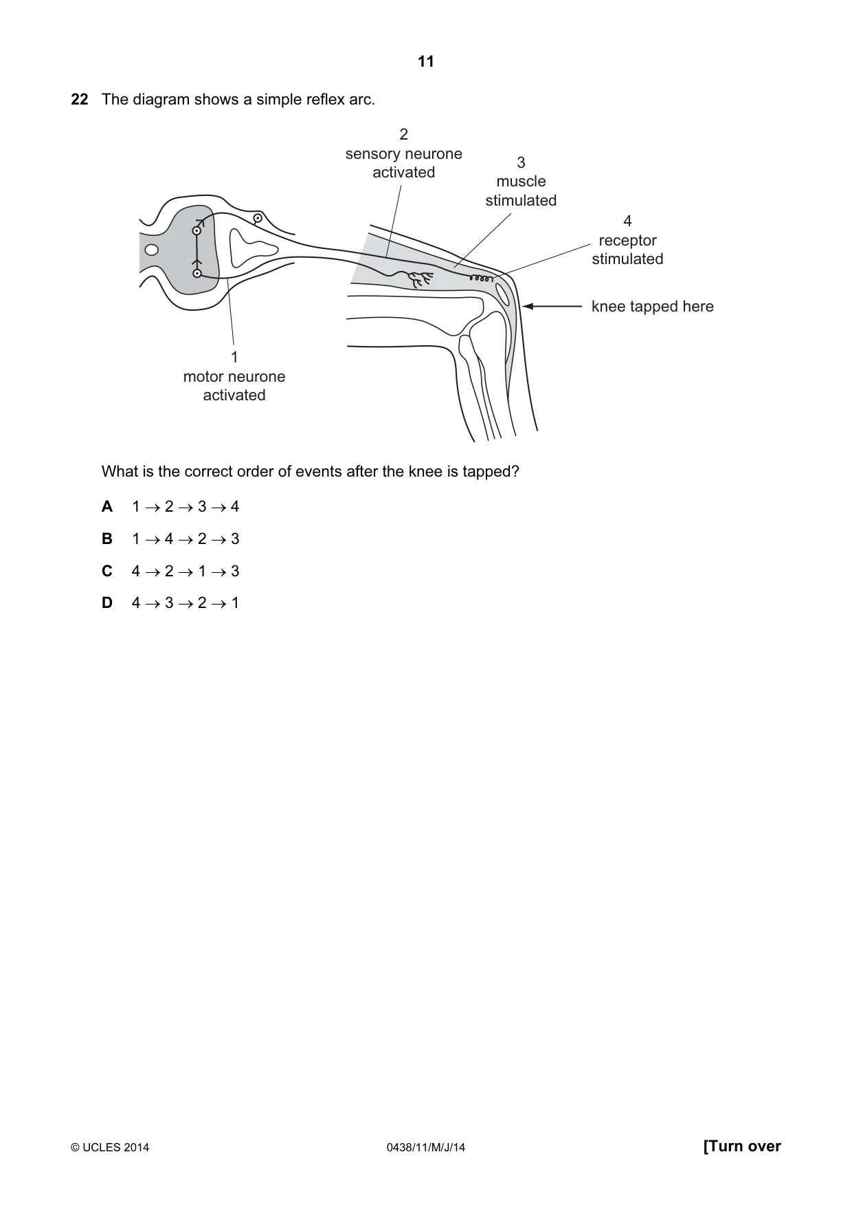 Cambridge IGCSE Biology (BES) 0438 2014 May/June Paper 1 · Variant 1 question paper, page 11 of 20