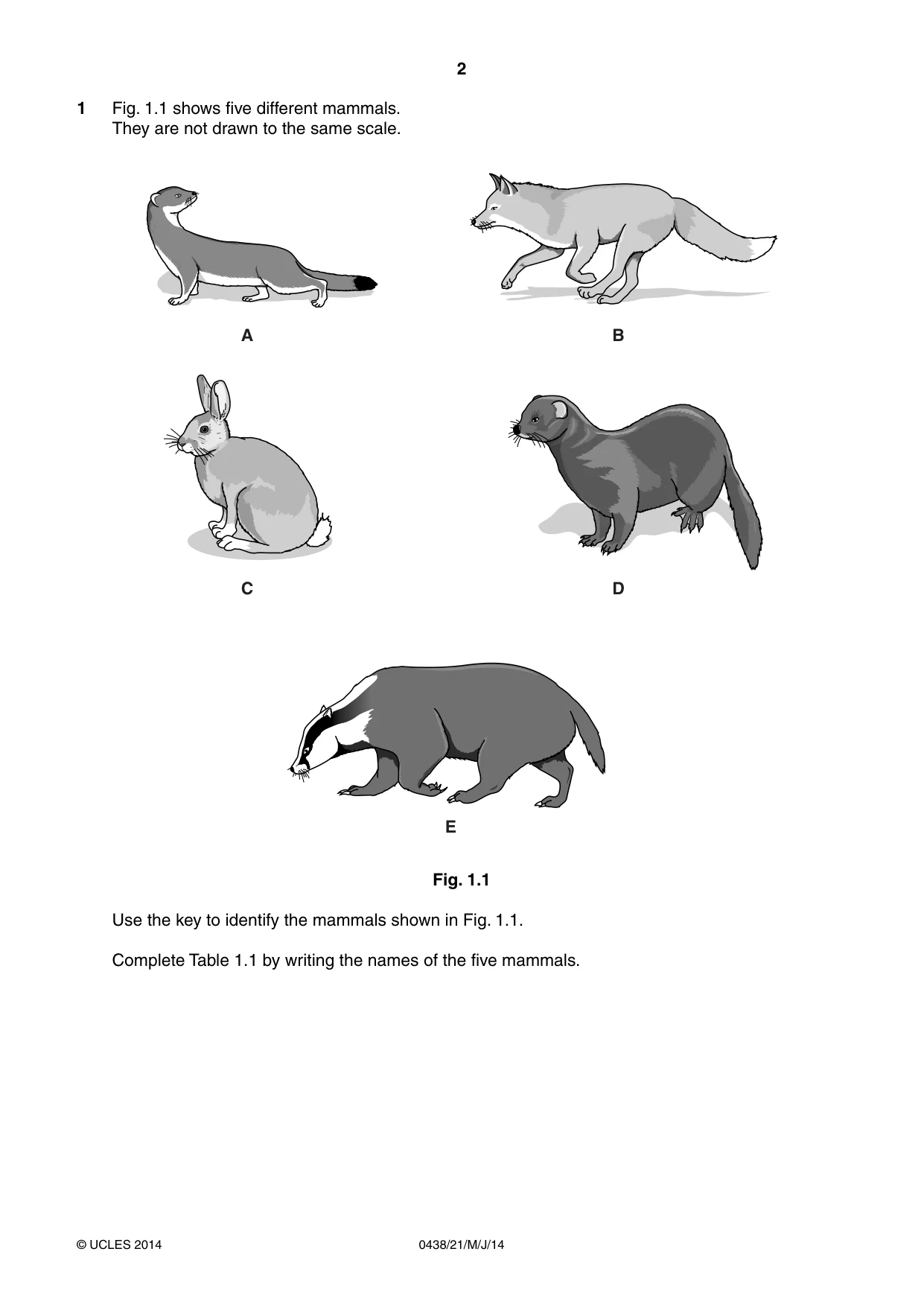 Cambridge IGCSE Biology (BES) 0438 2014 May/June Paper 2 · Variant 1 question paper, page 2 of 20