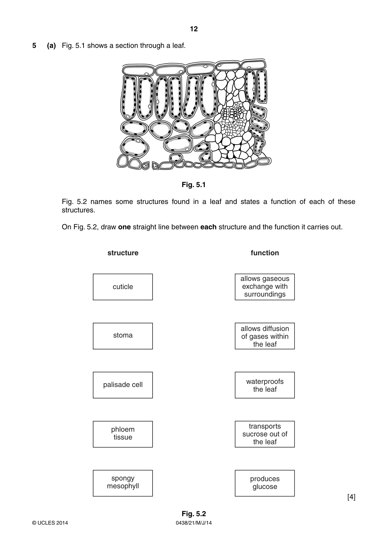 Cambridge IGCSE Biology (BES) 0438 2014 May/June Paper 2 · Variant 1 question paper, page 12 of 20