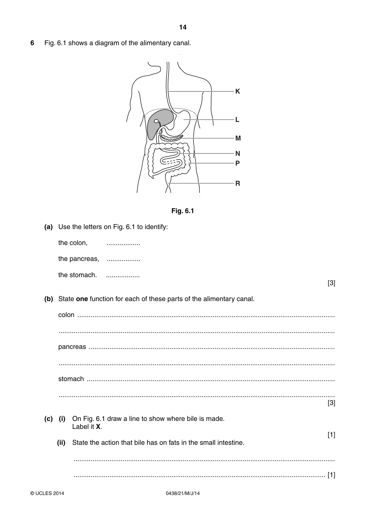 Cambridge IGCSE Biology (BES) 0438 2014 May/June Paper 2 · Variant 1 question paper, page 14 of 20
