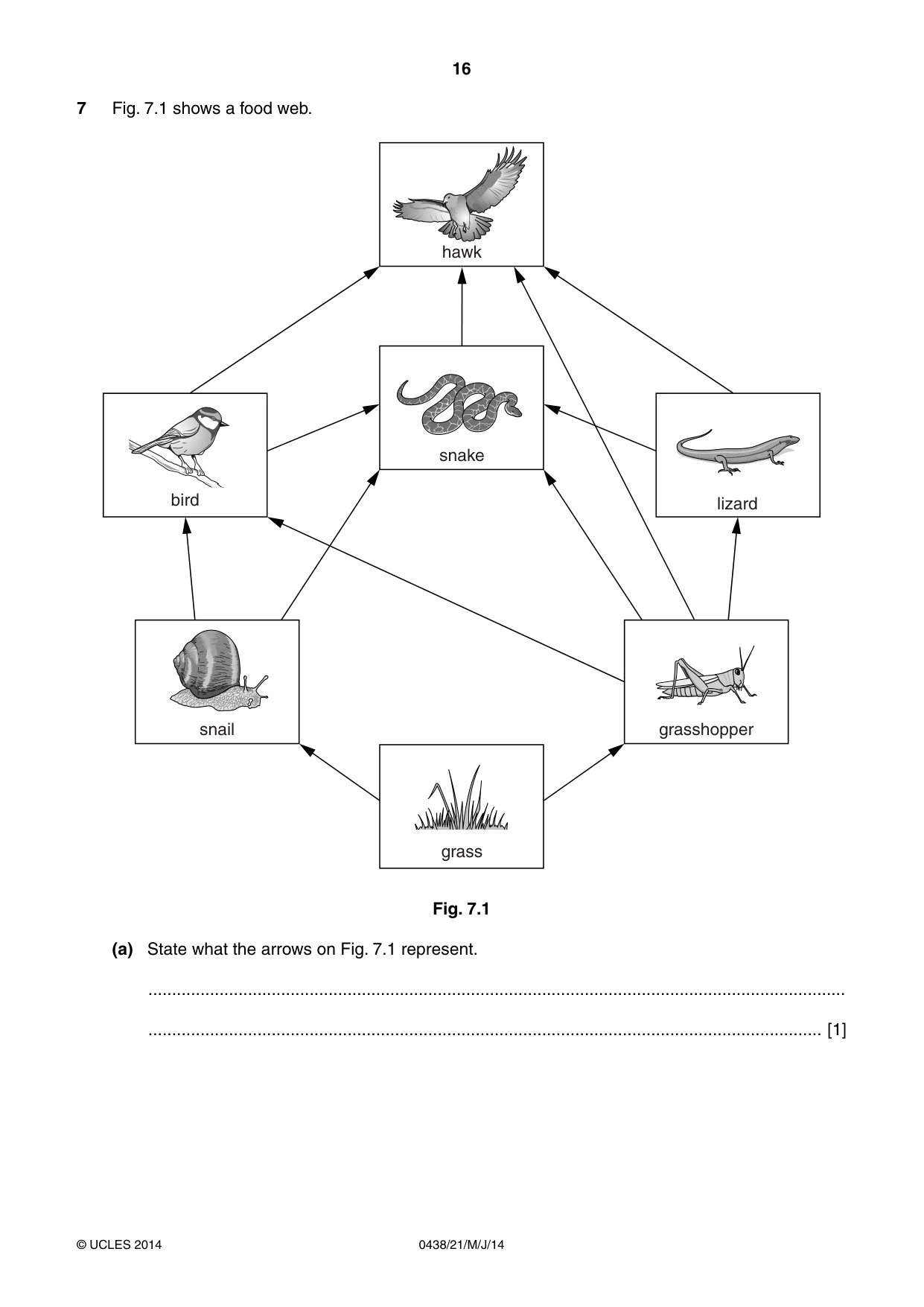 Cambridge IGCSE Biology (BES) 0438 2014 May/June Paper 2 · Variant 1 question paper, page 16 of 20