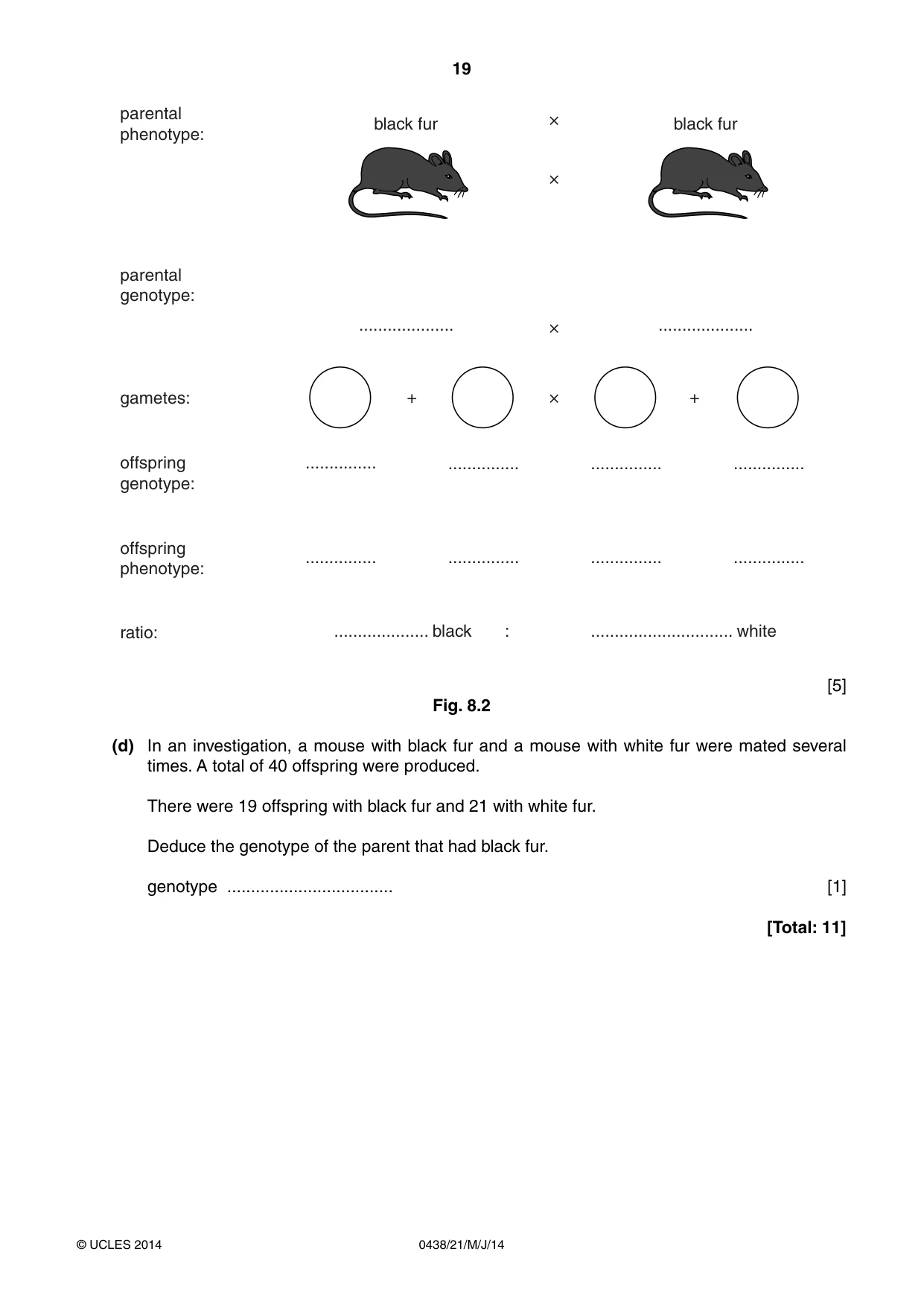 Cambridge IGCSE Biology (BES) 0438 2014 May/June Paper 2 · Variant 1 question paper, page 19 of 20