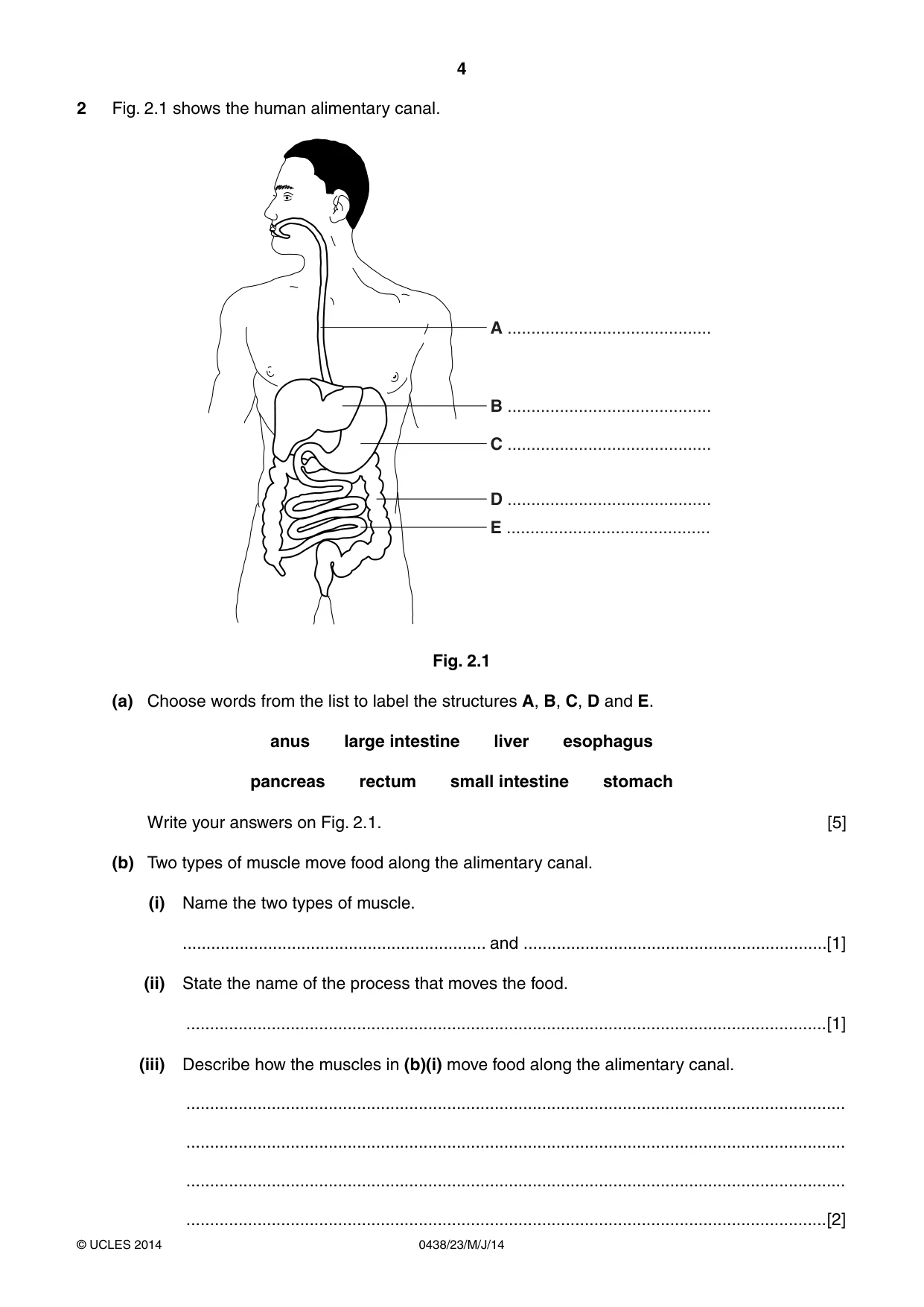 Cambridge IGCSE Biology (BES) 0438 2014 May/June Paper 2 · Variant 3 question paper, page 4 of 20