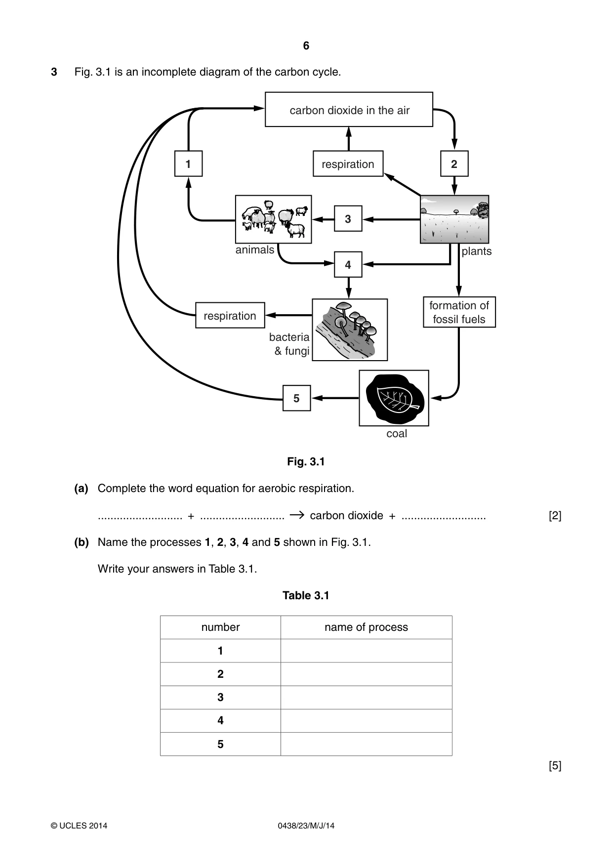 Cambridge IGCSE Biology (BES) 0438 2014 May/June Paper 2 · Variant 3 question paper, page 6 of 20