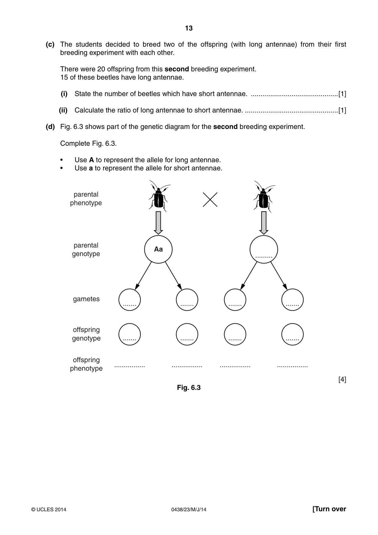 Cambridge IGCSE Biology (BES) 0438 2014 May/June Paper 2 · Variant 3 question paper, page 13 of 20