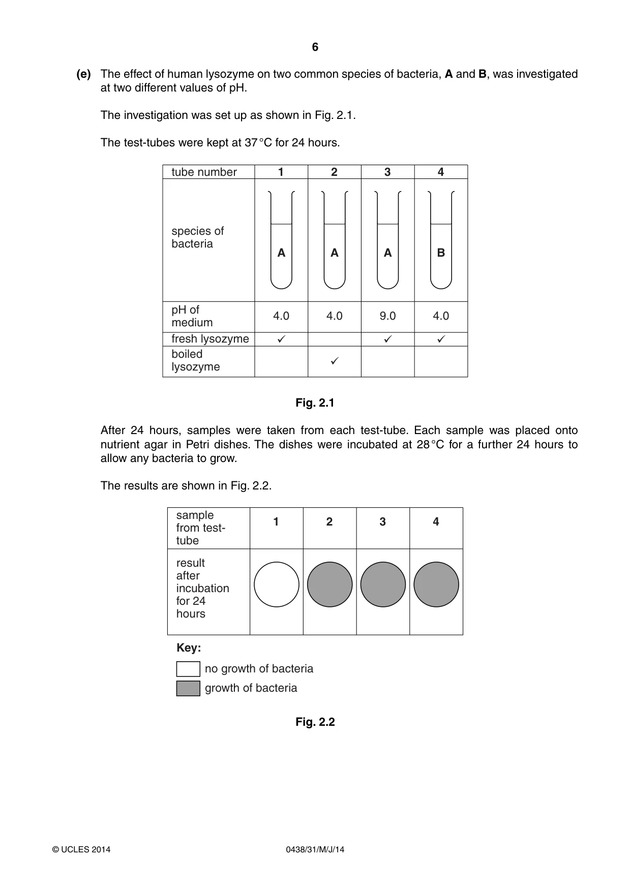 Cambridge IGCSE Biology (BES) 0438 2014 May/June Paper 3 · Variant 1 question paper, page 6 of 20