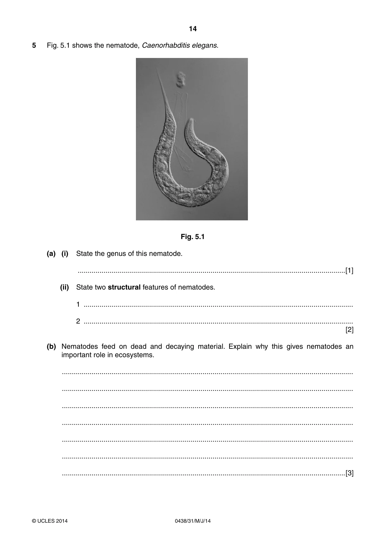 Cambridge IGCSE Biology (BES) 0438 2014 May/June Paper 3 · Variant 1 question paper, page 14 of 20