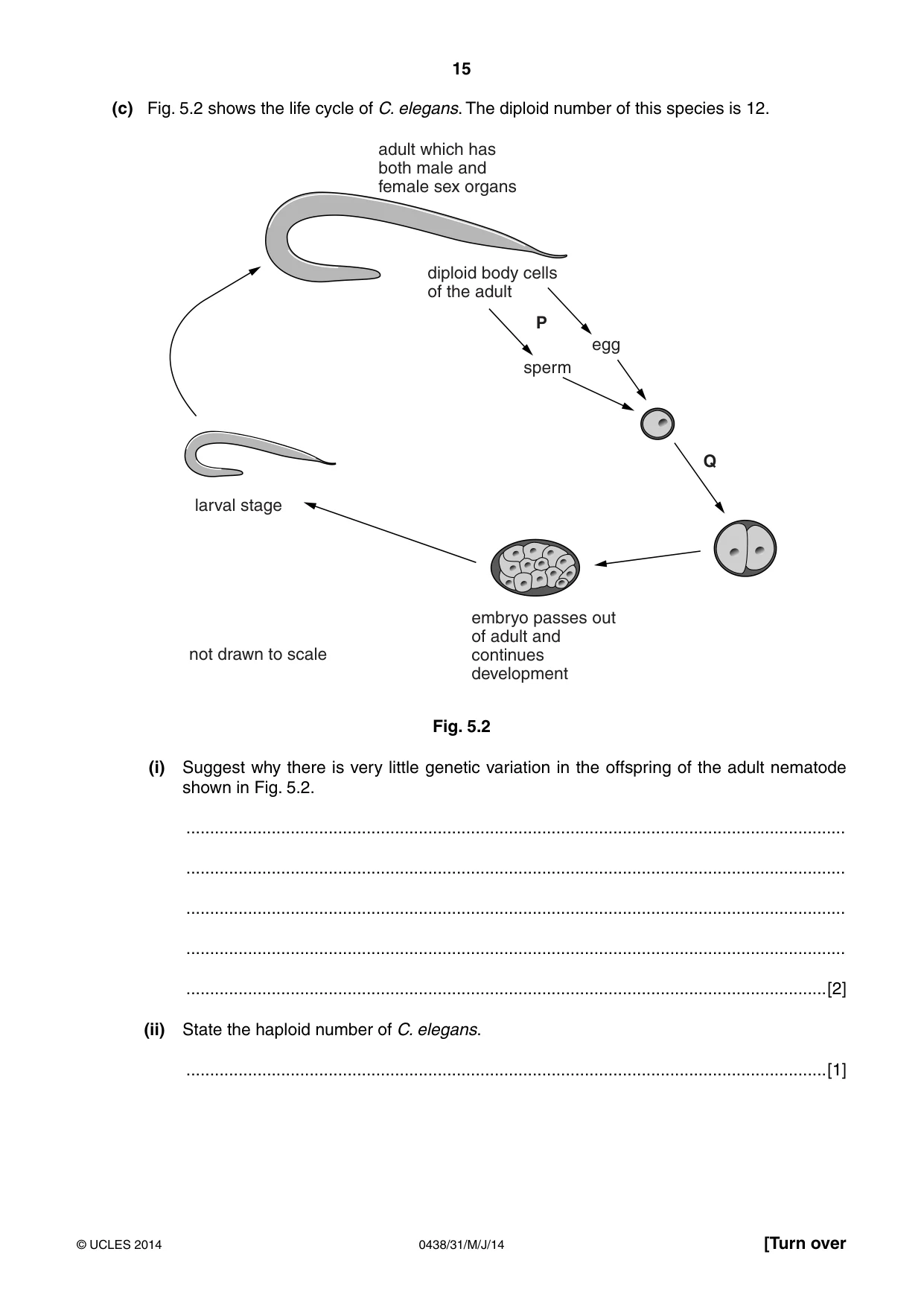 Cambridge IGCSE Biology (BES) 0438 2014 May/June Paper 3 · Variant 1 question paper, page 15 of 20