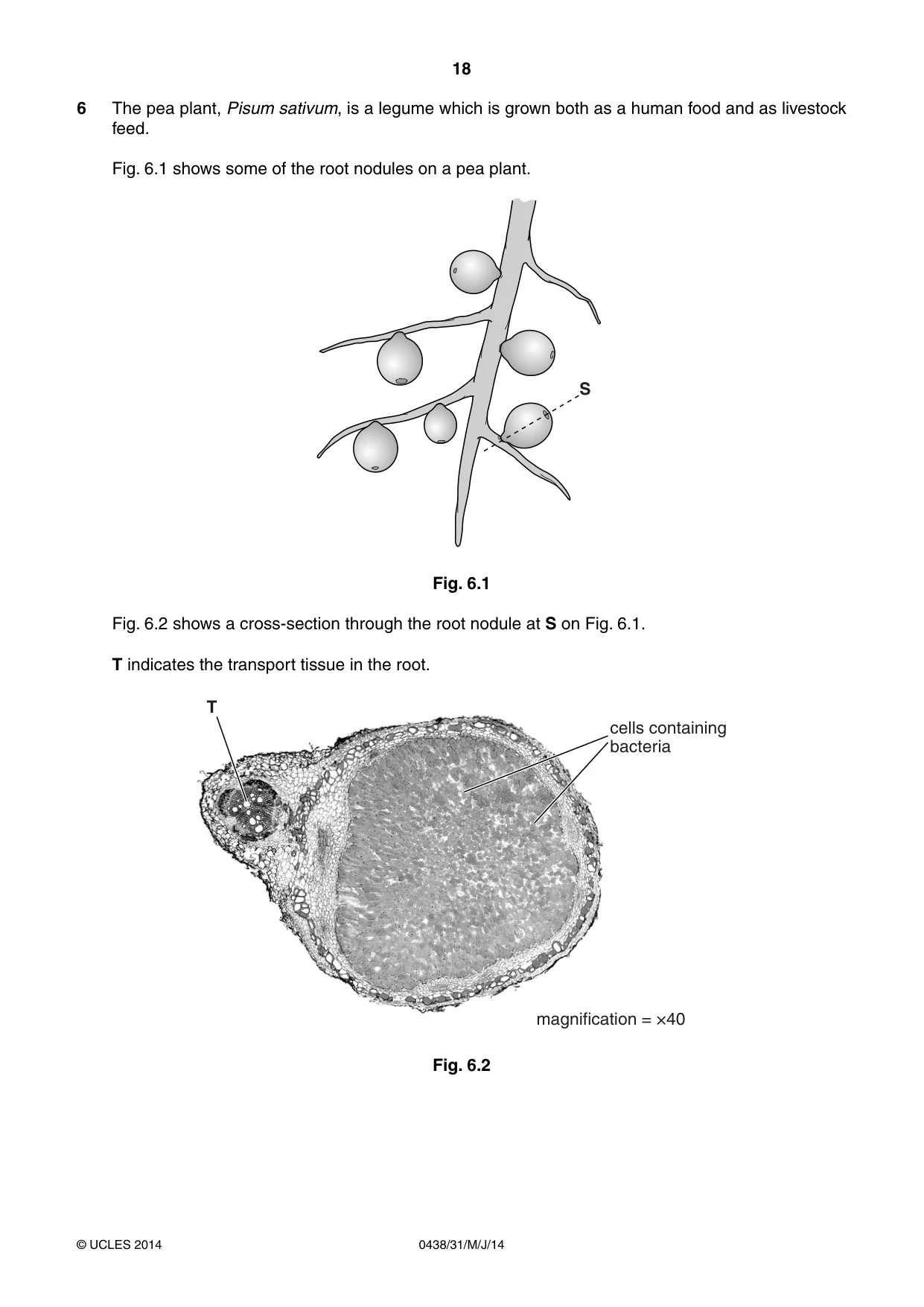 Cambridge IGCSE Biology (BES) 0438 2014 May/June Paper 3 · Variant 1 question paper, page 18 of 20